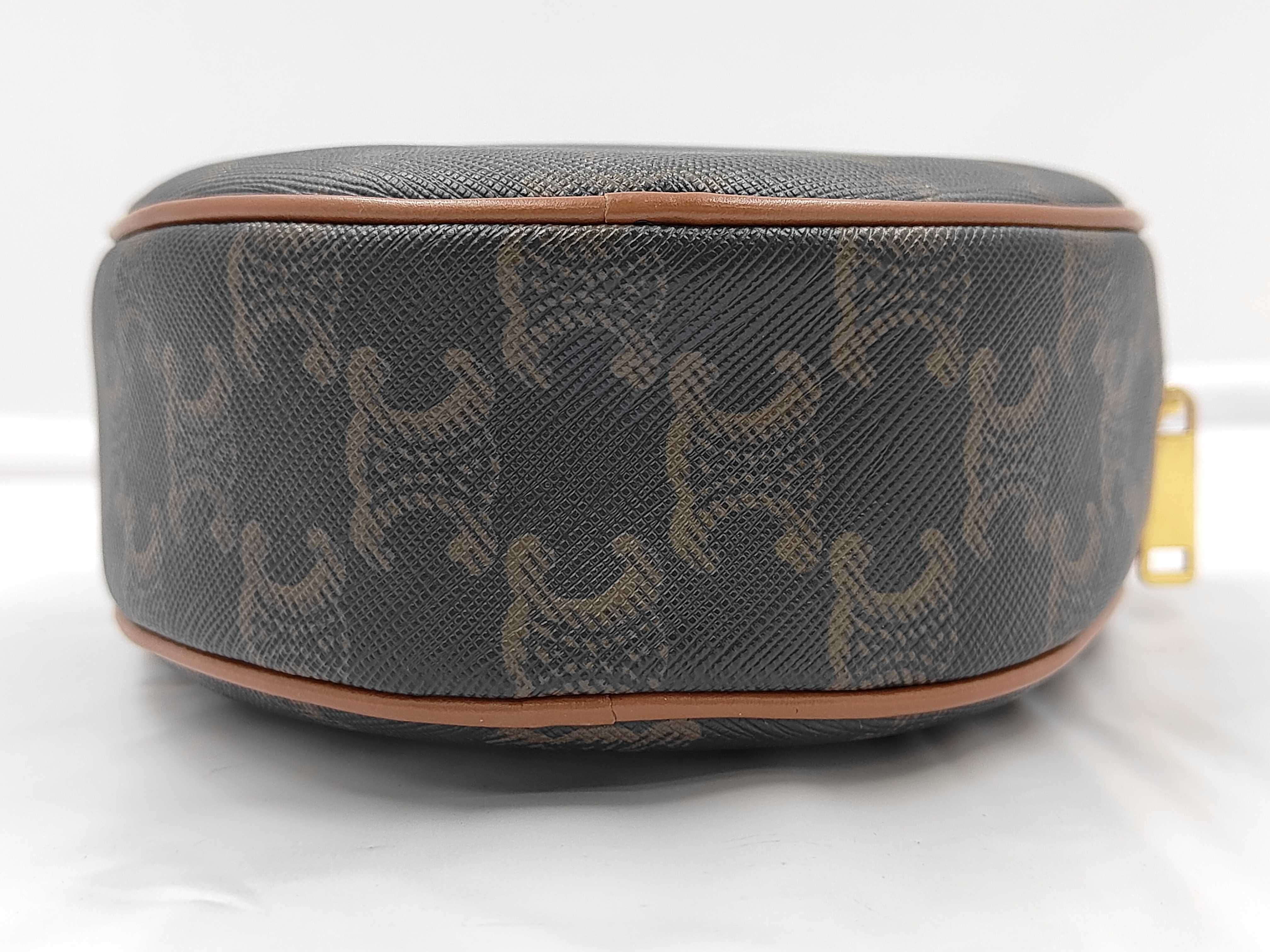 Triomphe Mini Hand/Shoulder Bag (2-way shoulder bag) — view 8