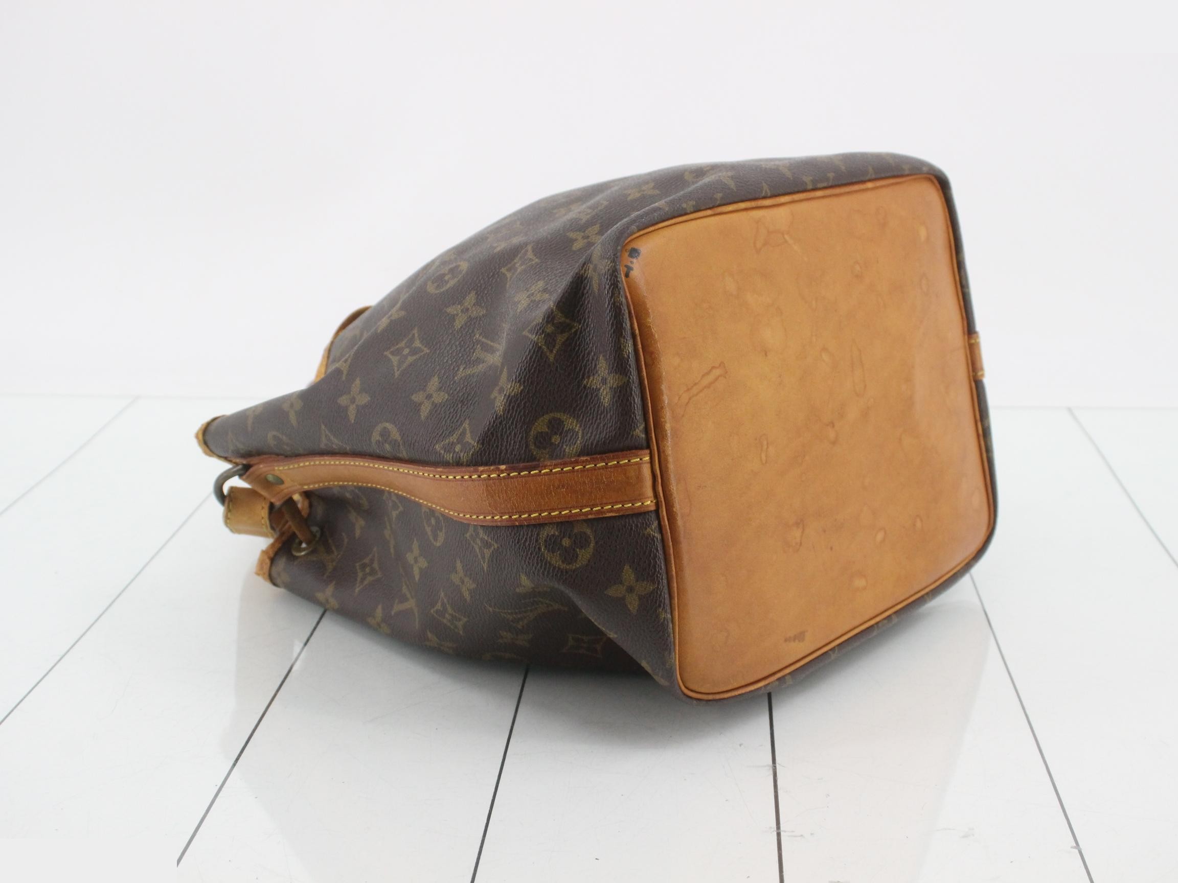 Petit Noé (old model) — view 5