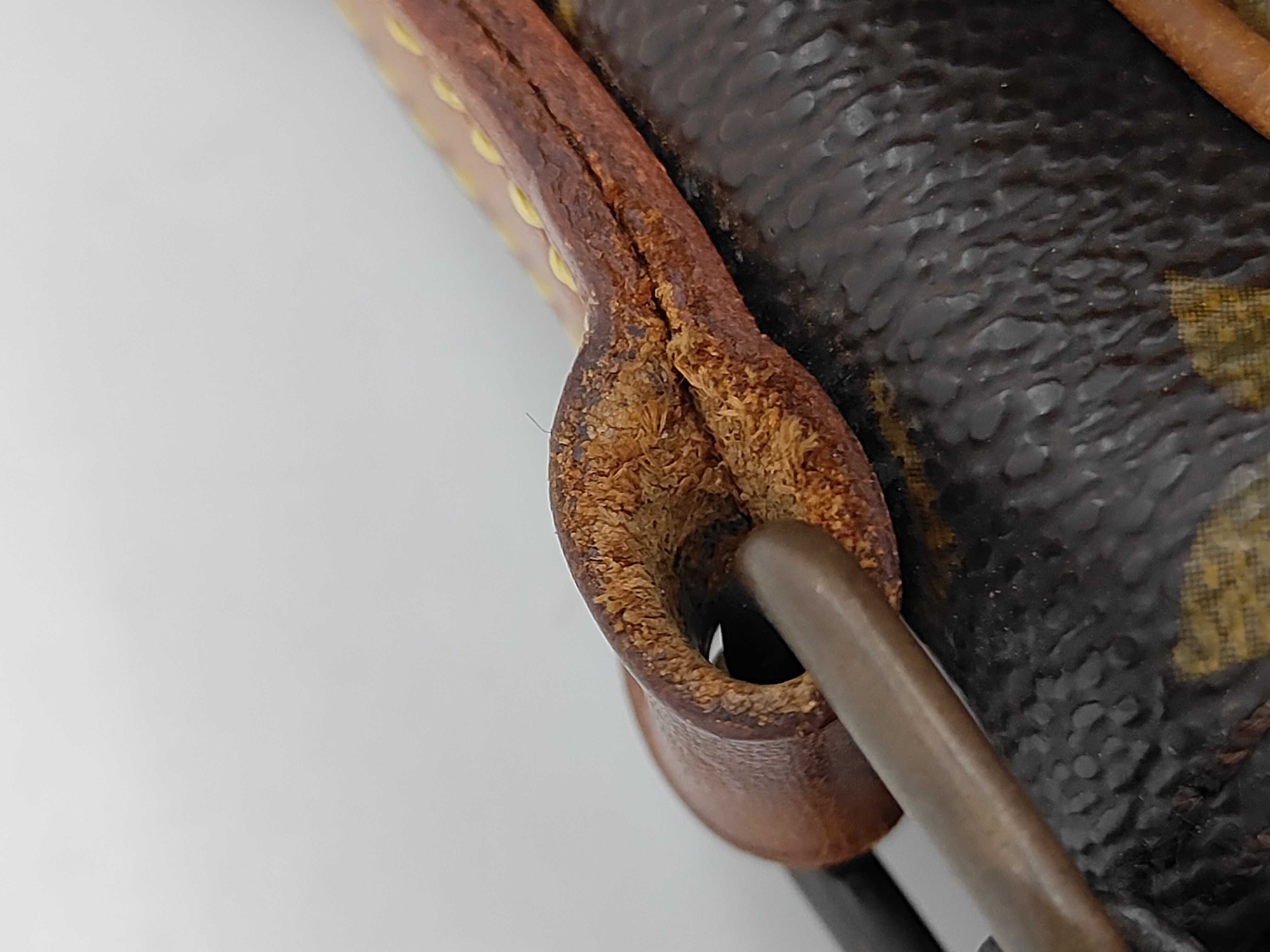 Monogram Amazon Shoulder Bag — view 6