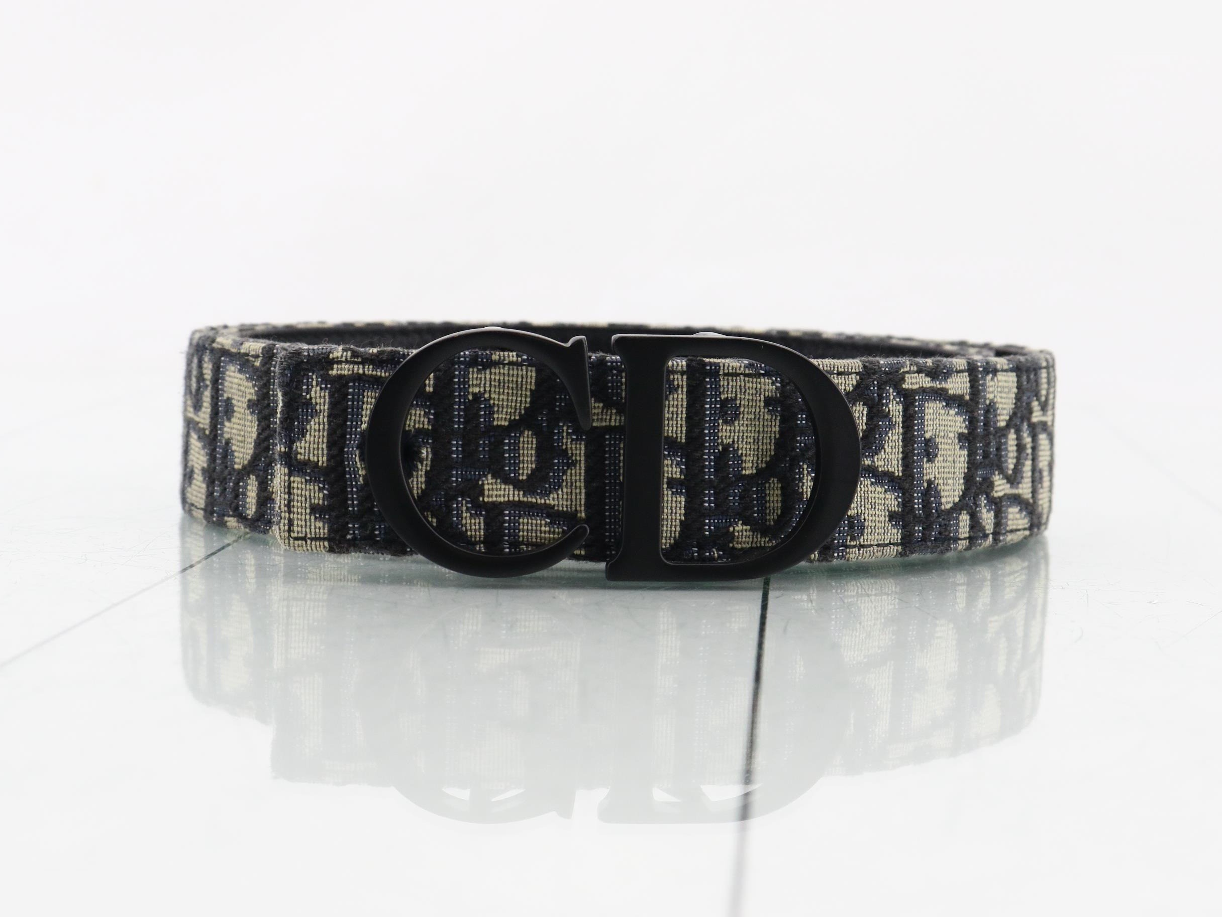 Trotter Oblique Belt