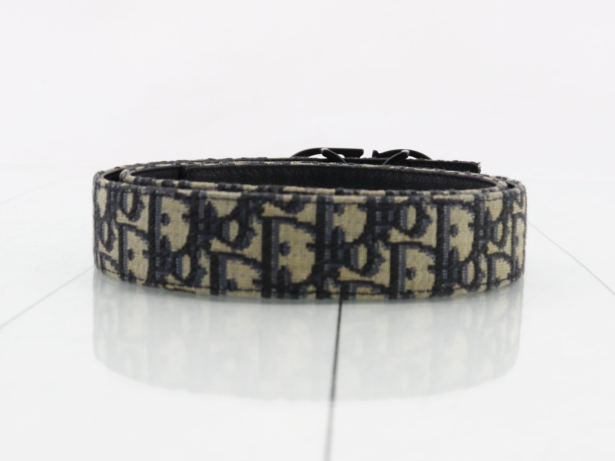 Trotter Oblique Belt — view 2