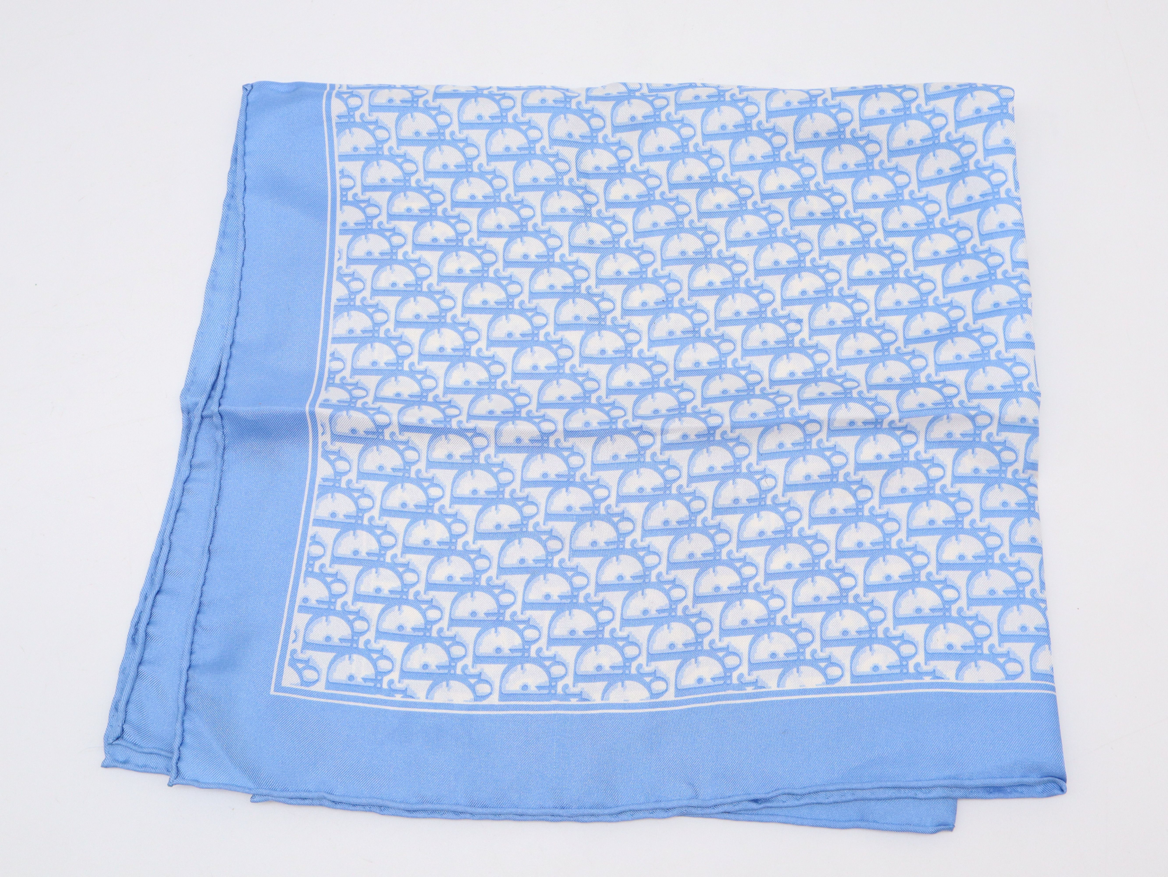 Trotter Scarf, Silk, Blue, Other Accessories — view 2