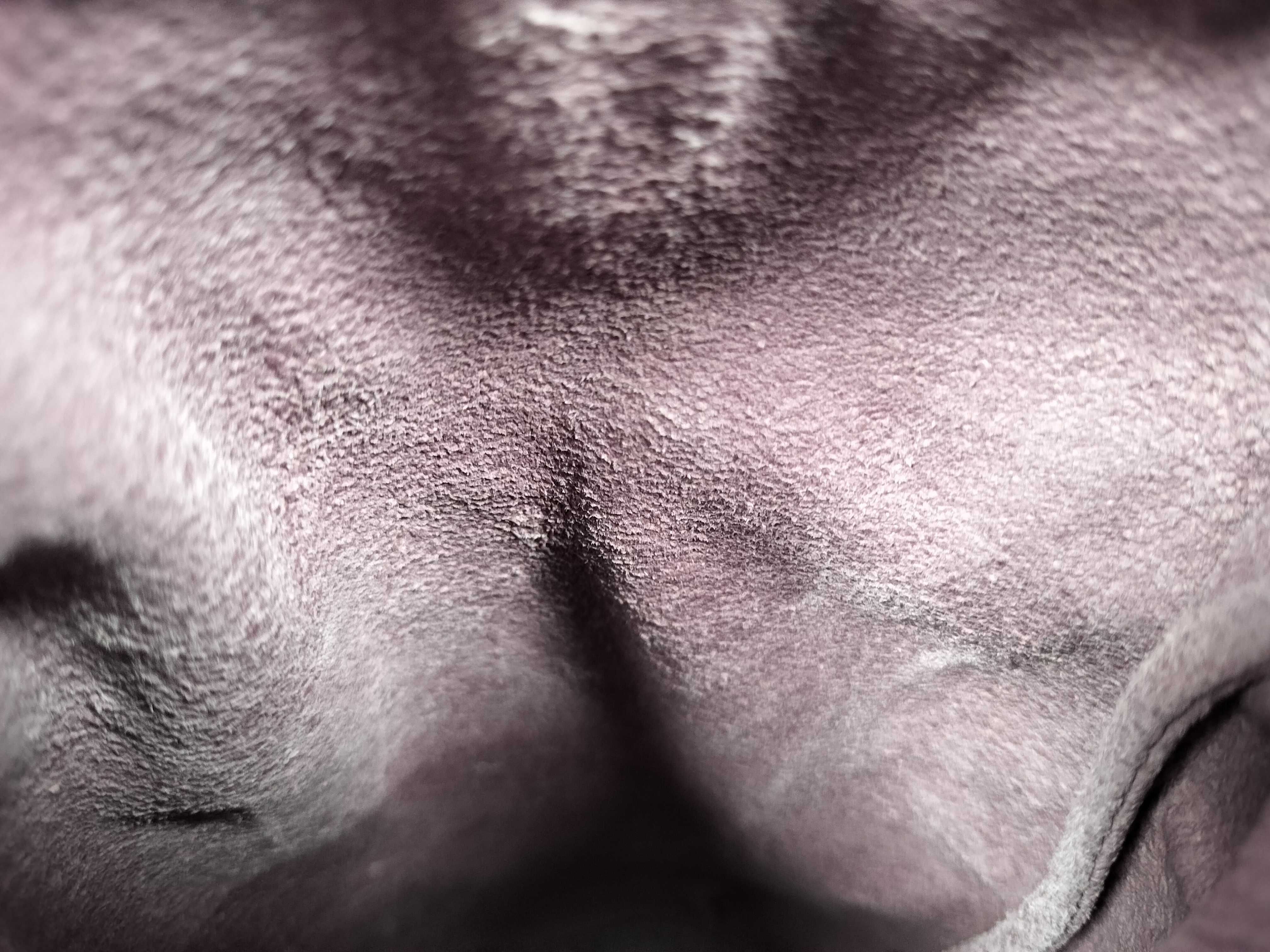 Anagram Cut Purple Shoulder Bag — view 11
