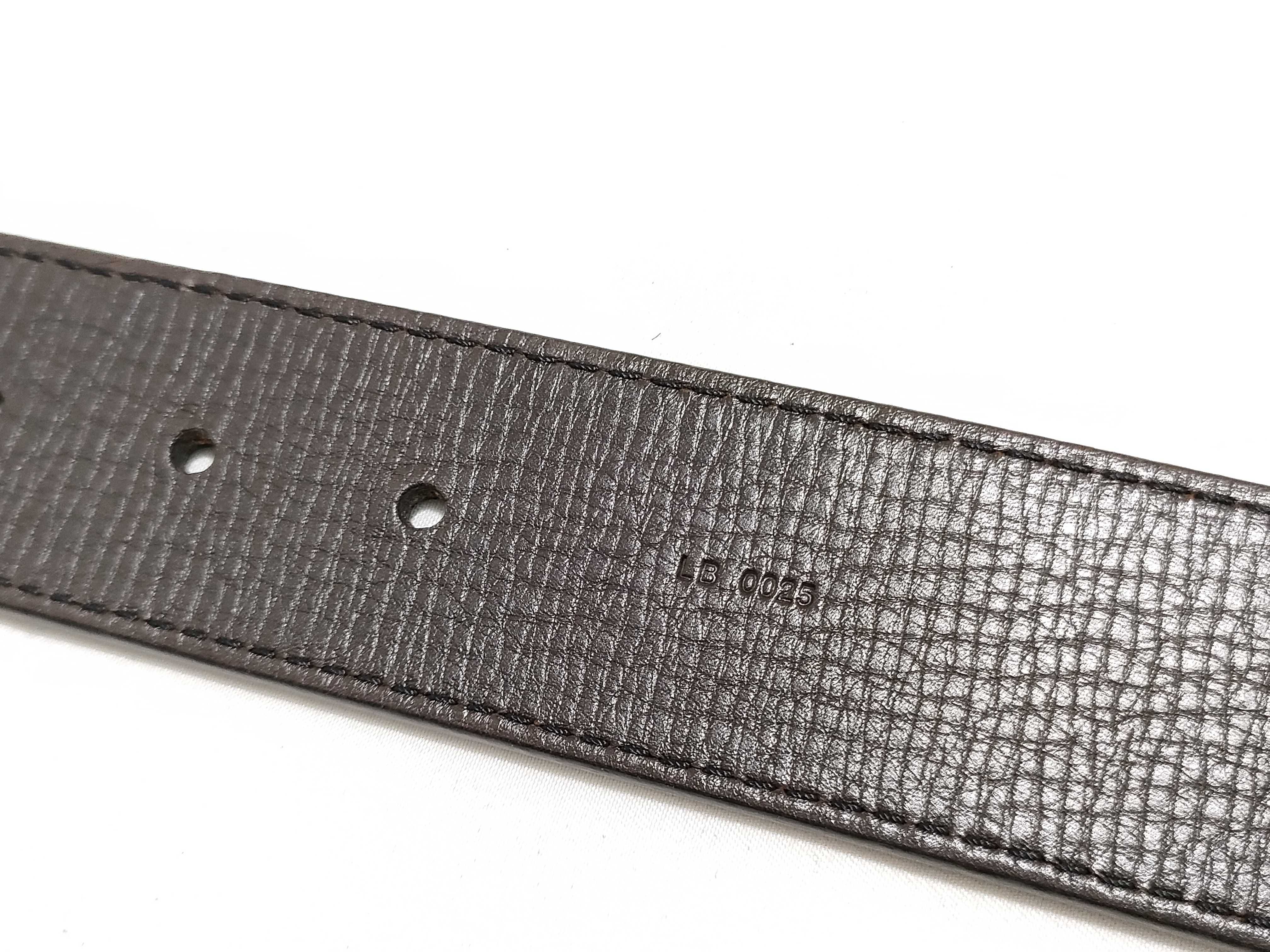 Belt with Gold Hardware — view 6