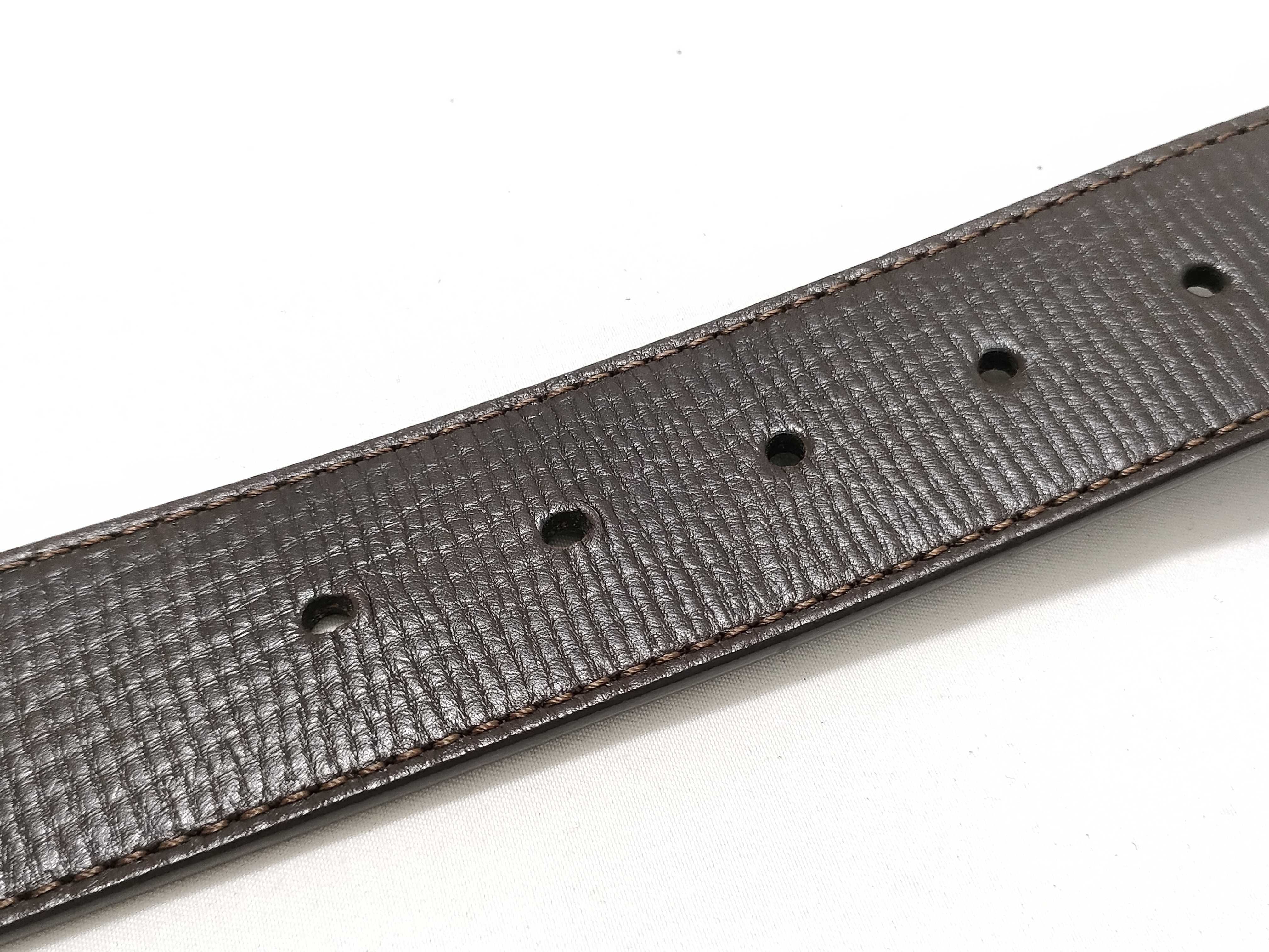 Belt with Gold Hardware — view 8