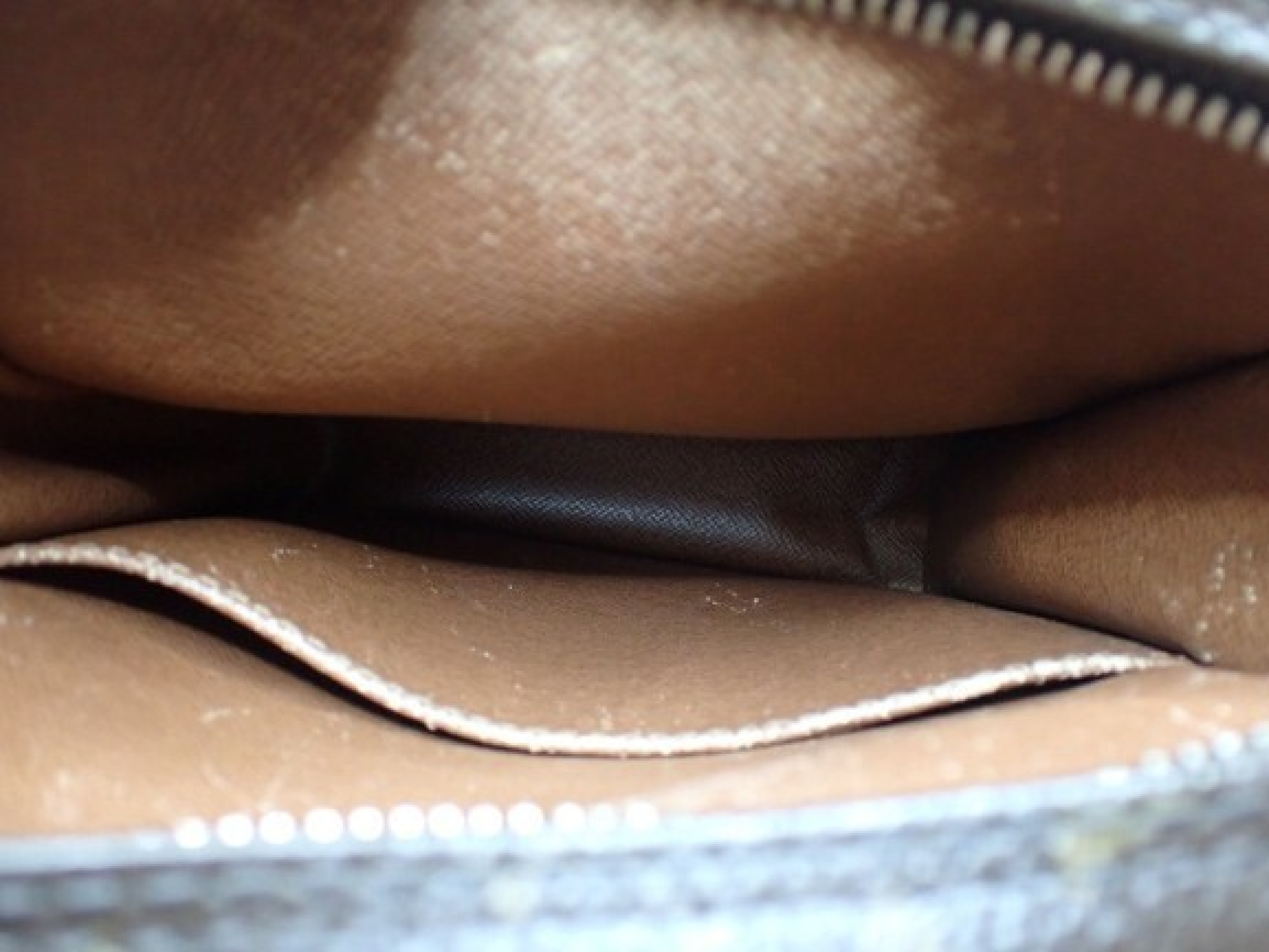 Monogram Amazon Shoulder Bag — view 4