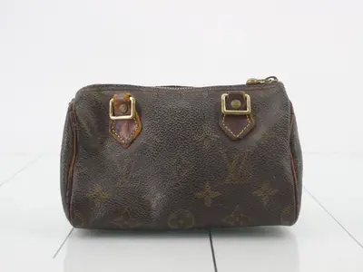 Monogram Mini Speedy
