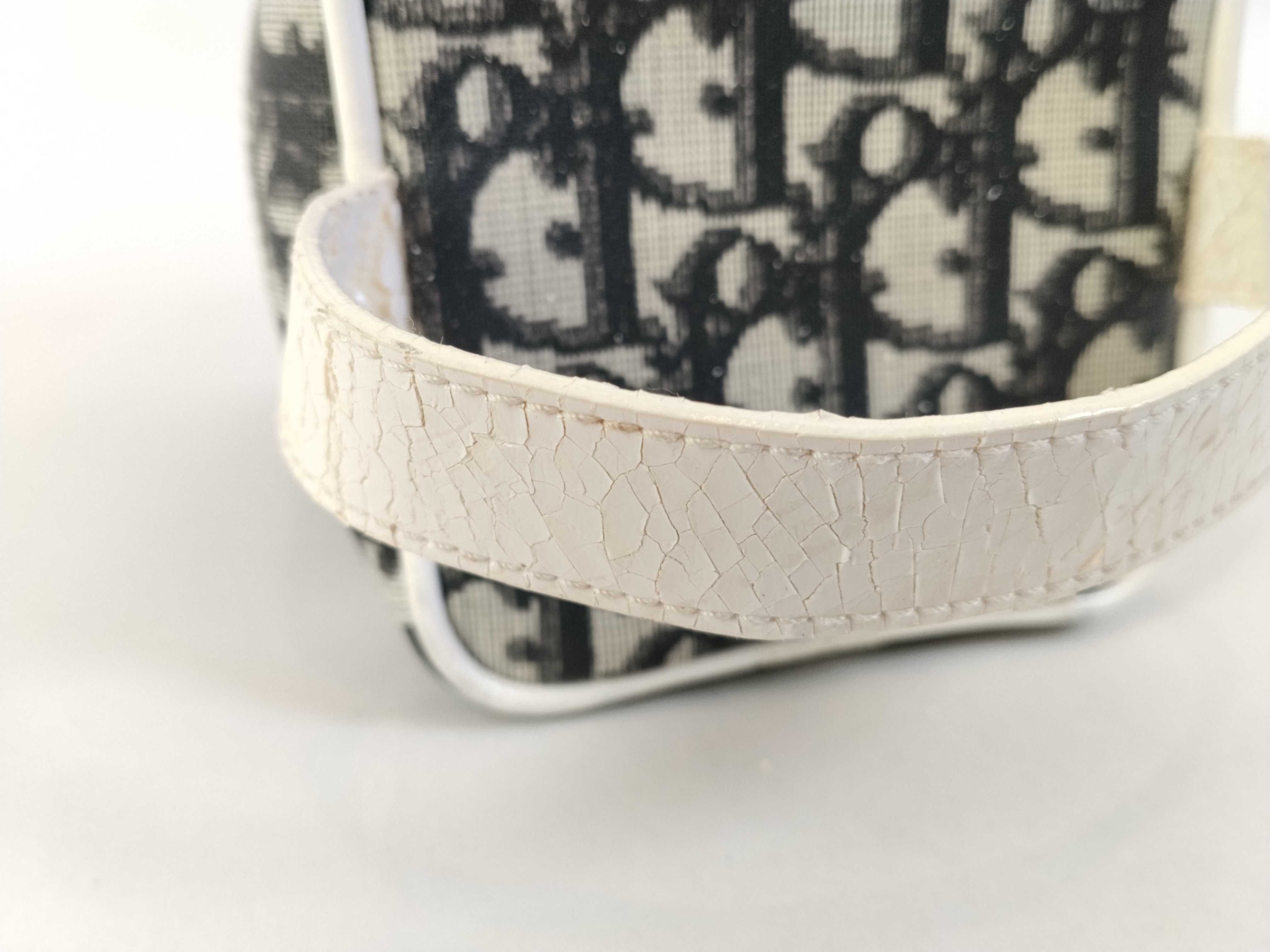 Trotter Christian Dior Trotter Canvas Vanity Bag — view 4