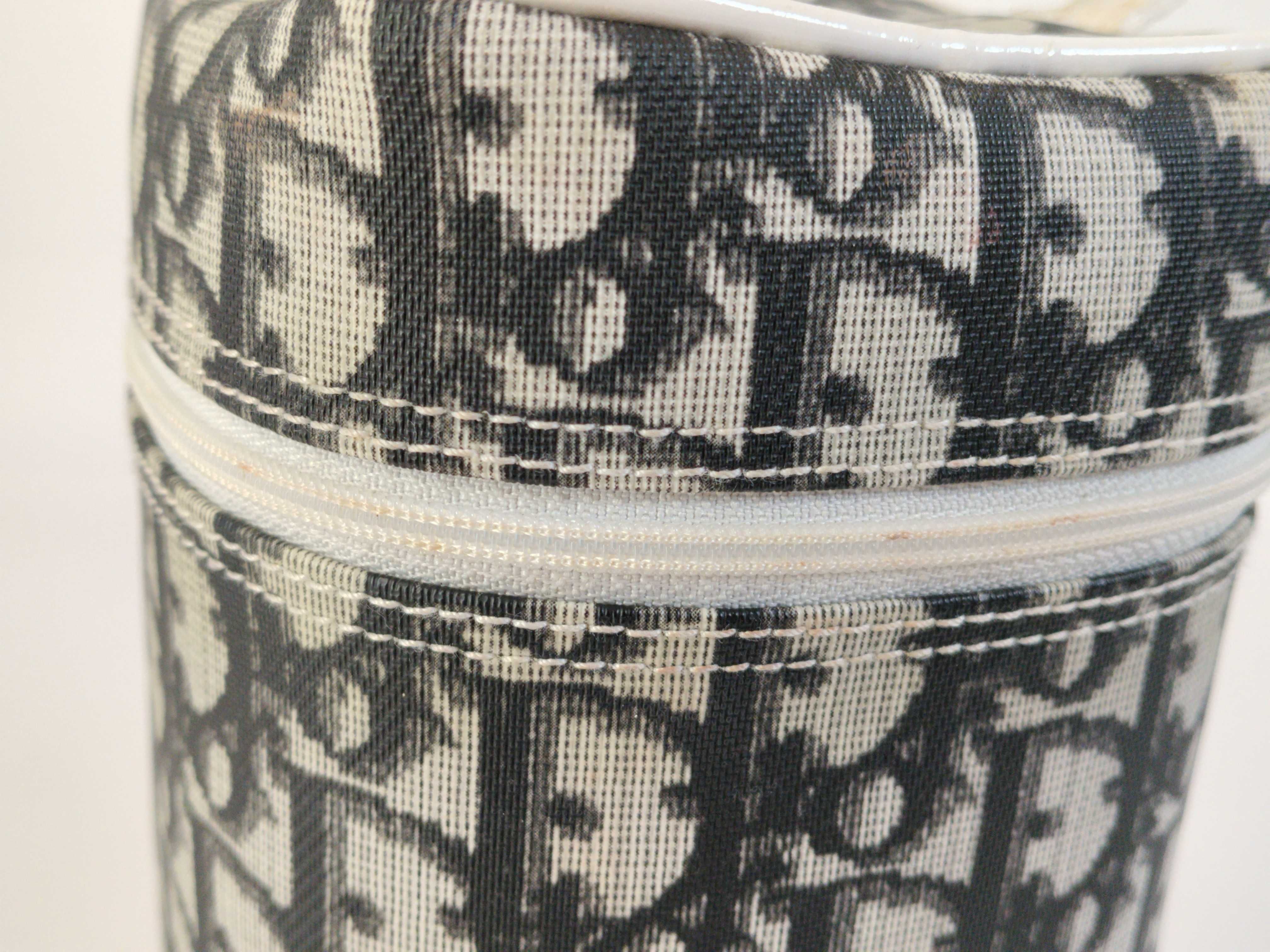 Trotter Christian Dior Trotter Canvas Vanity Bag — view 9