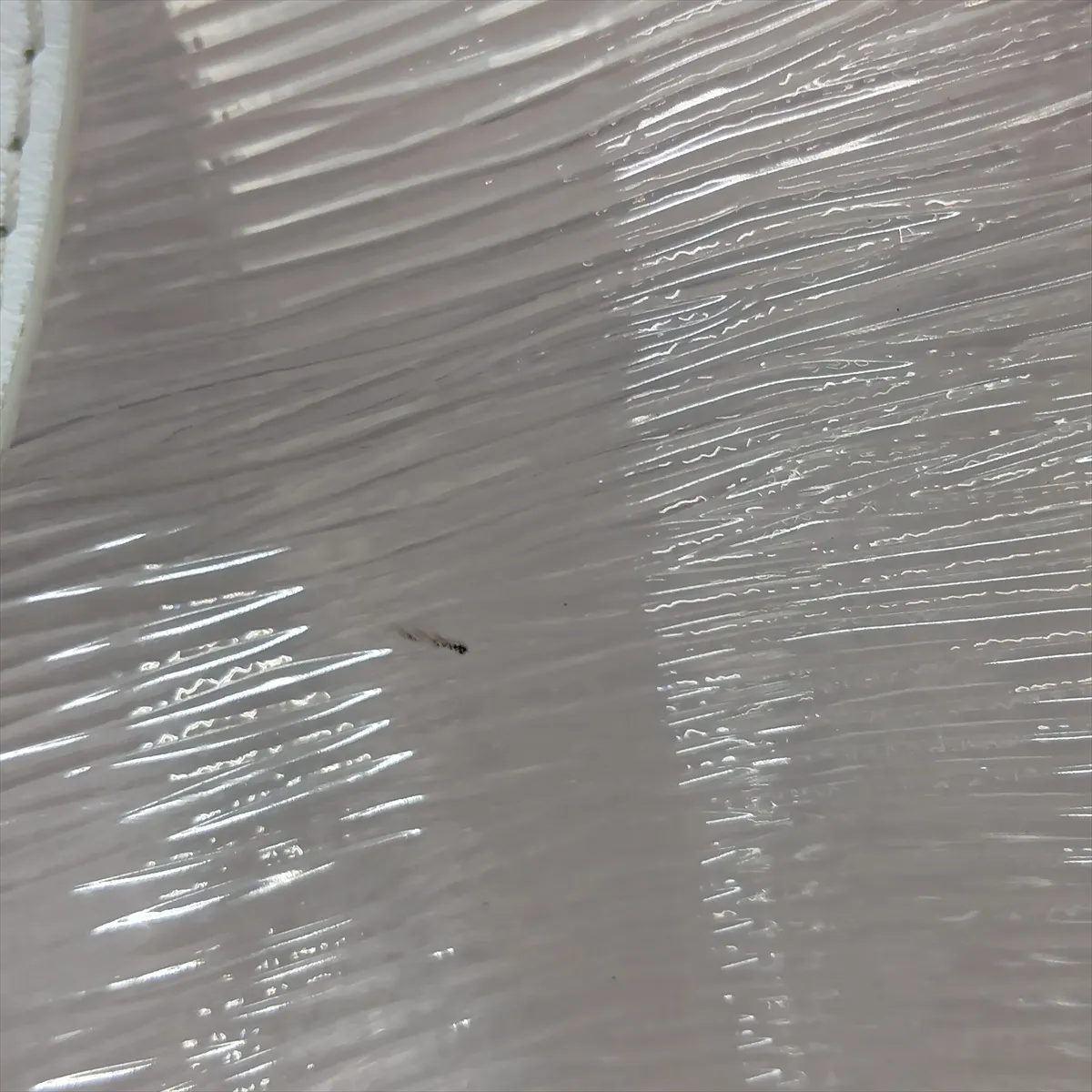 Epi Plage Keepall Bandoulière 50 M55814 MB4129 Clear x White — view 13