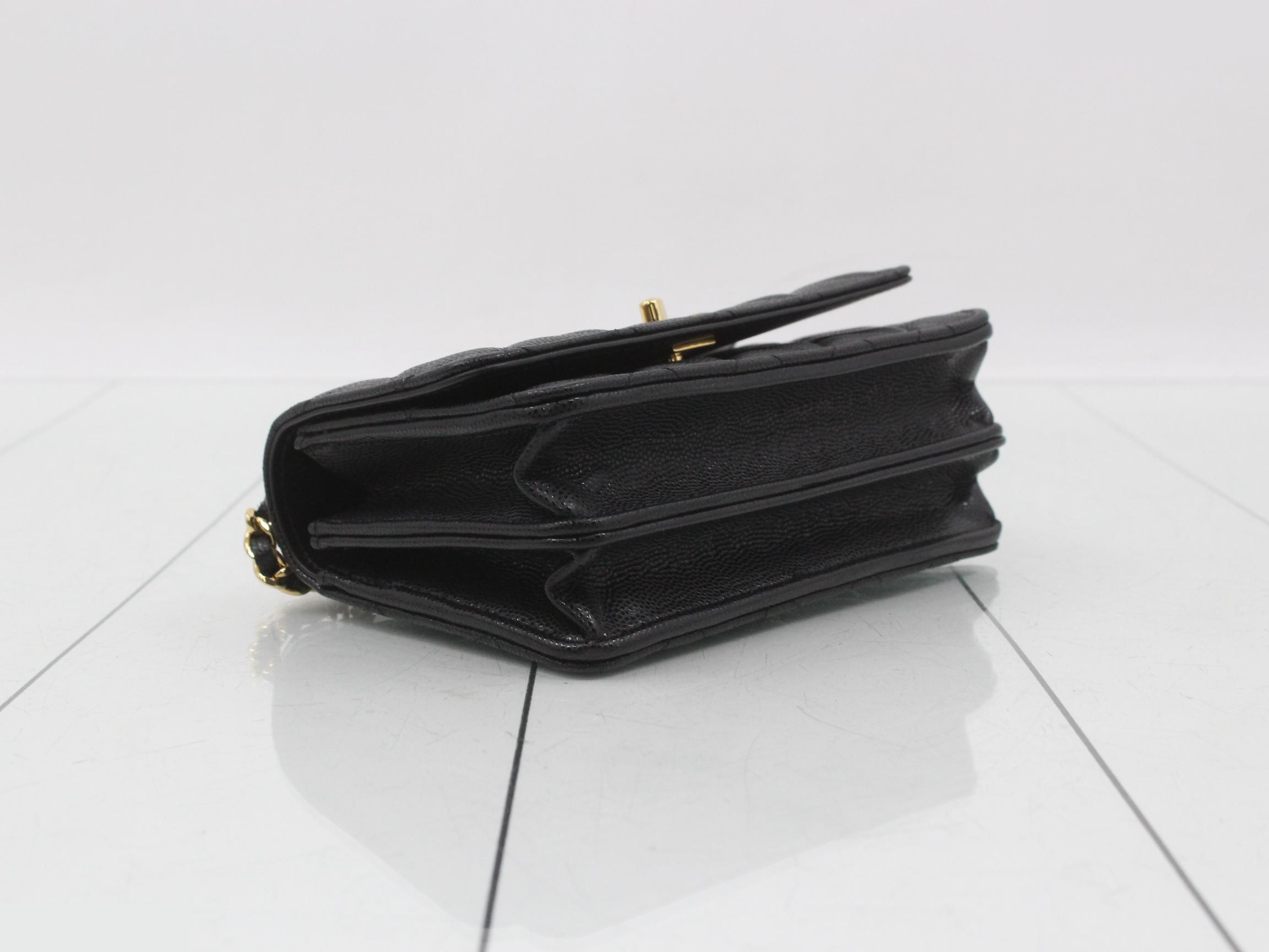 Caviar skin (bag) - Shoulder bag — view 5