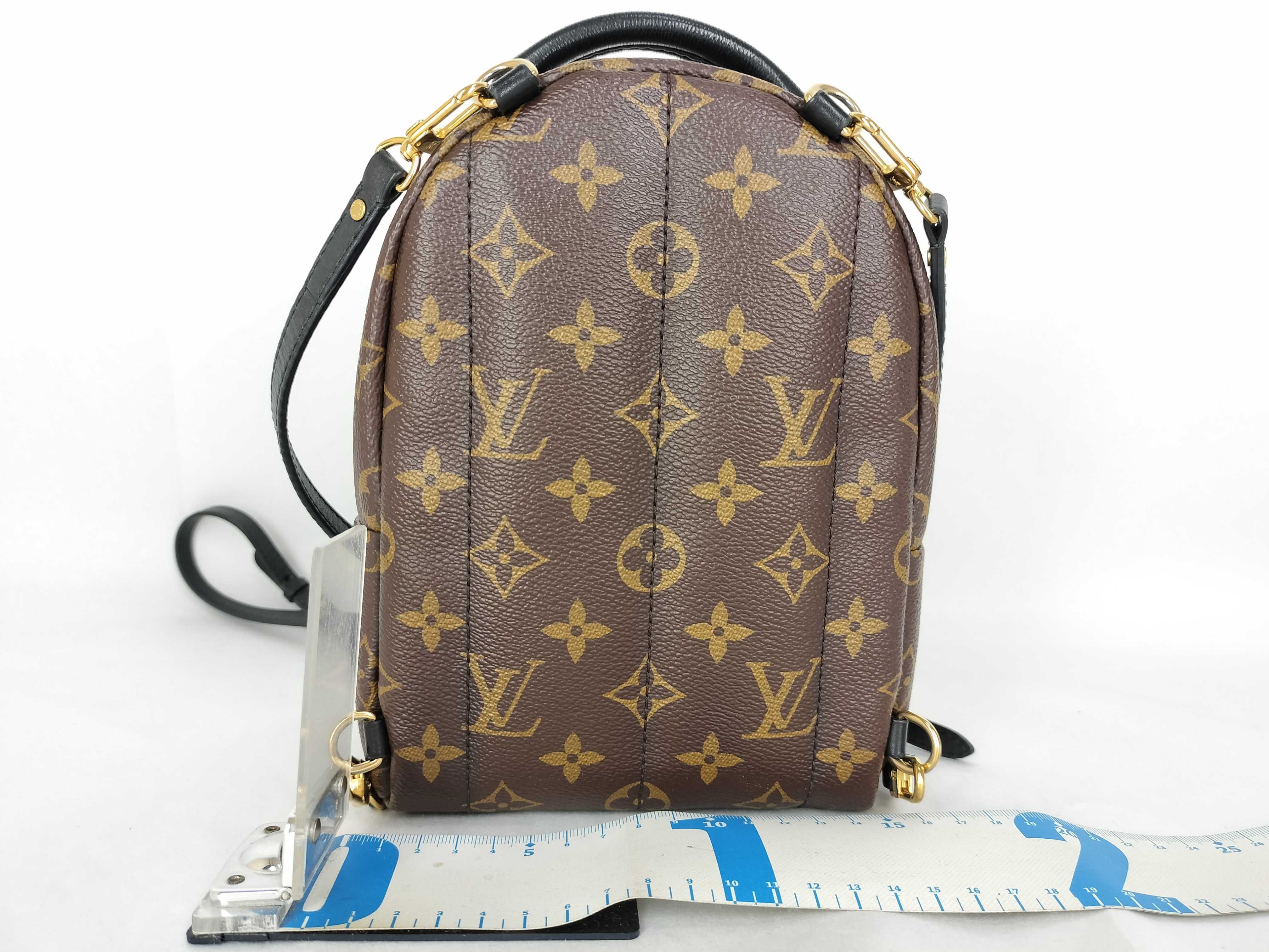 Monogram Palm Springs Backpack MINI M44873 Brown Rucksack — view 2