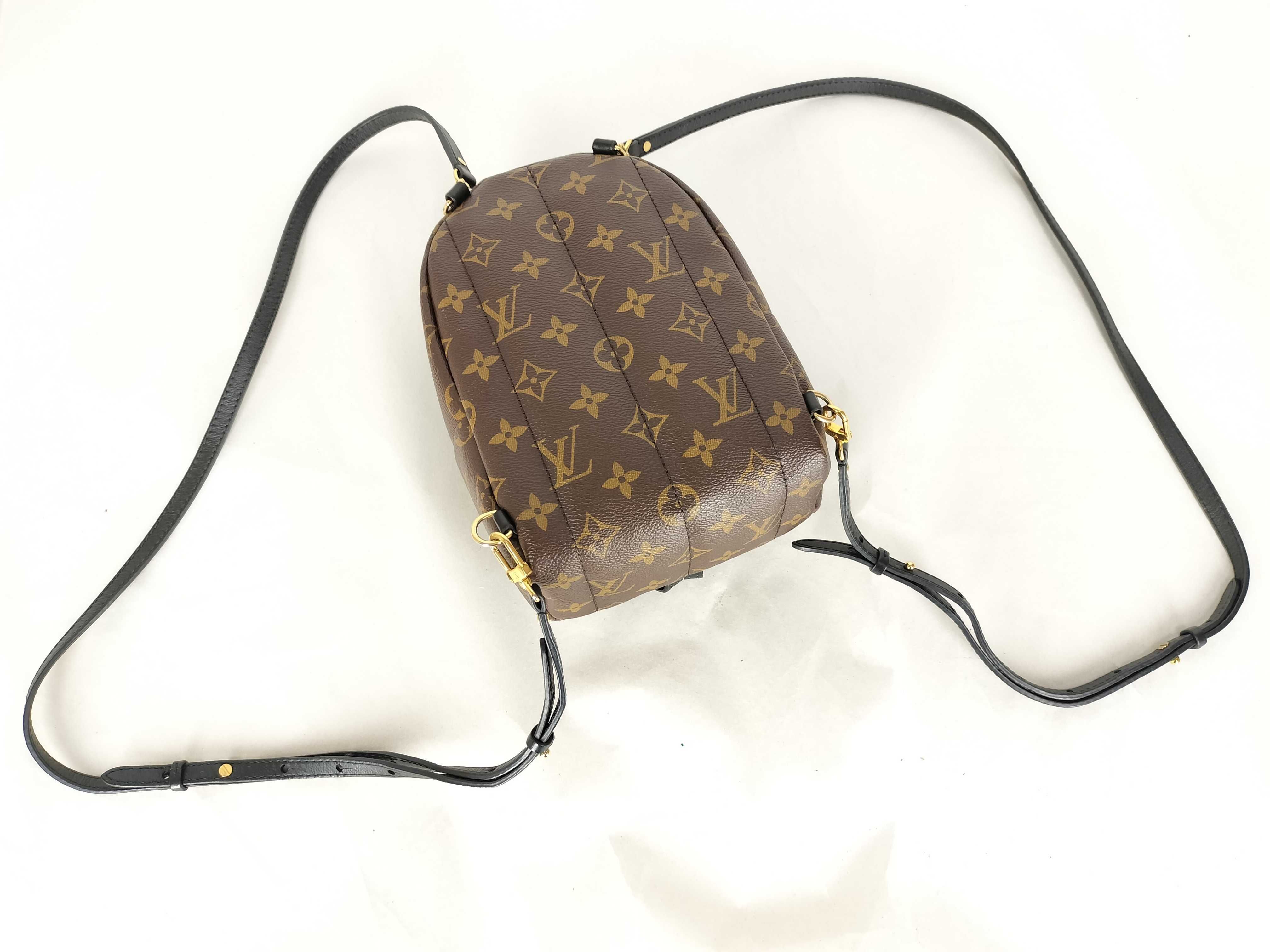 Monogram Palm Springs Backpack MINI M44873 Brown Rucksack — view 3