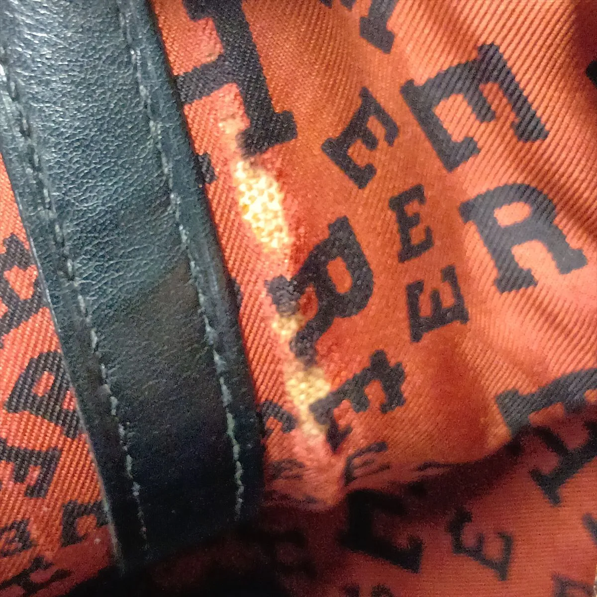 Garden Twilly TPM, Veau Swift leather, black, silver hardware I: 2005 — view 15