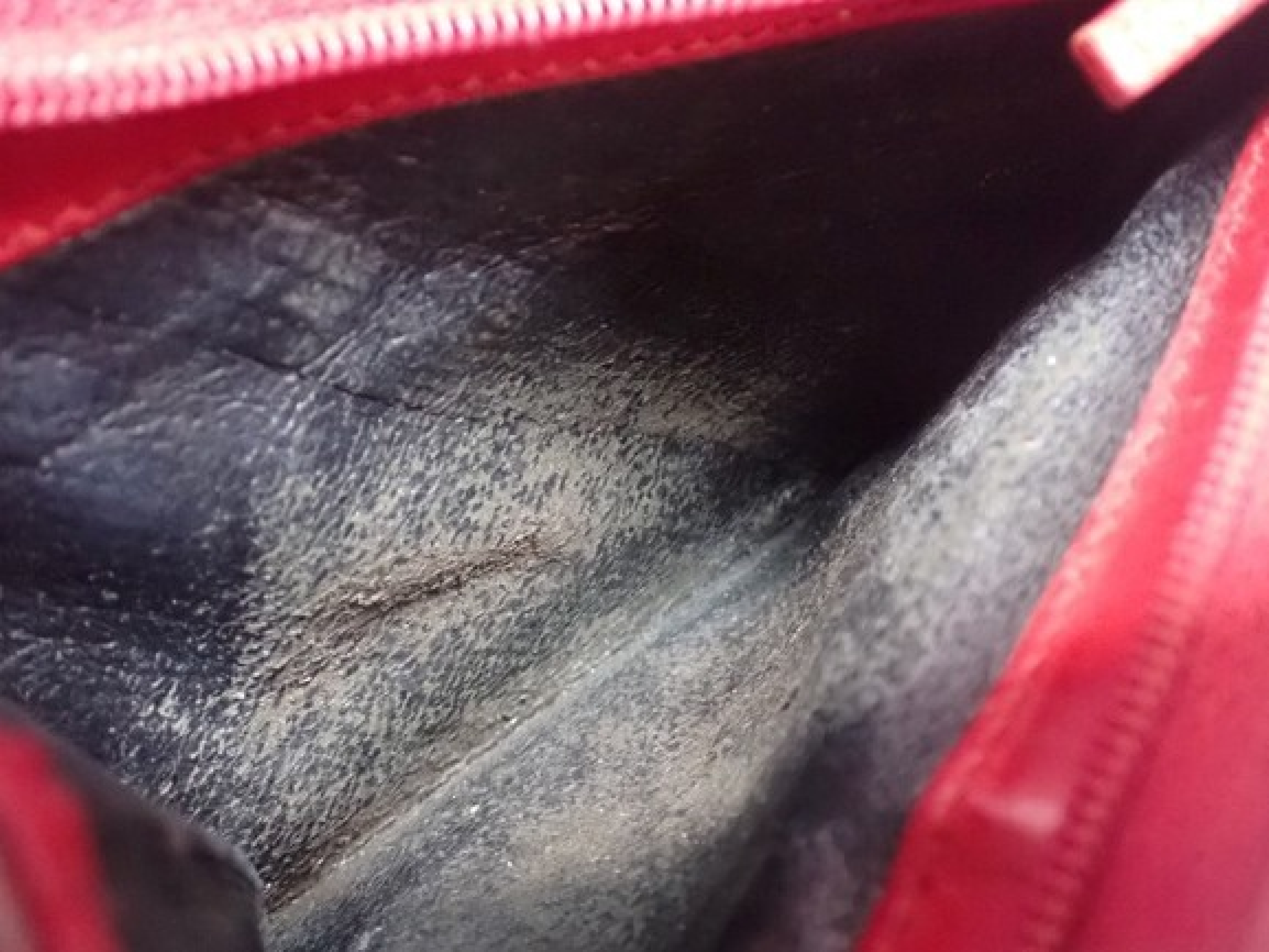 GG Canvas (Bag) Wallet — view 5
