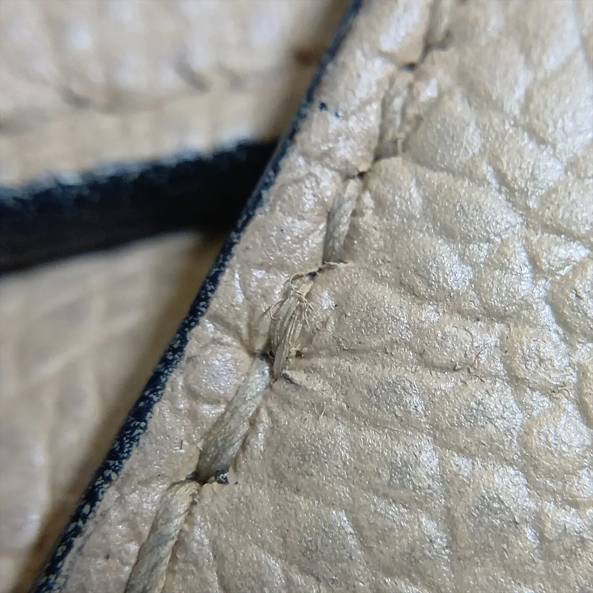 Saddle Leather Handbag, Beige — view 11