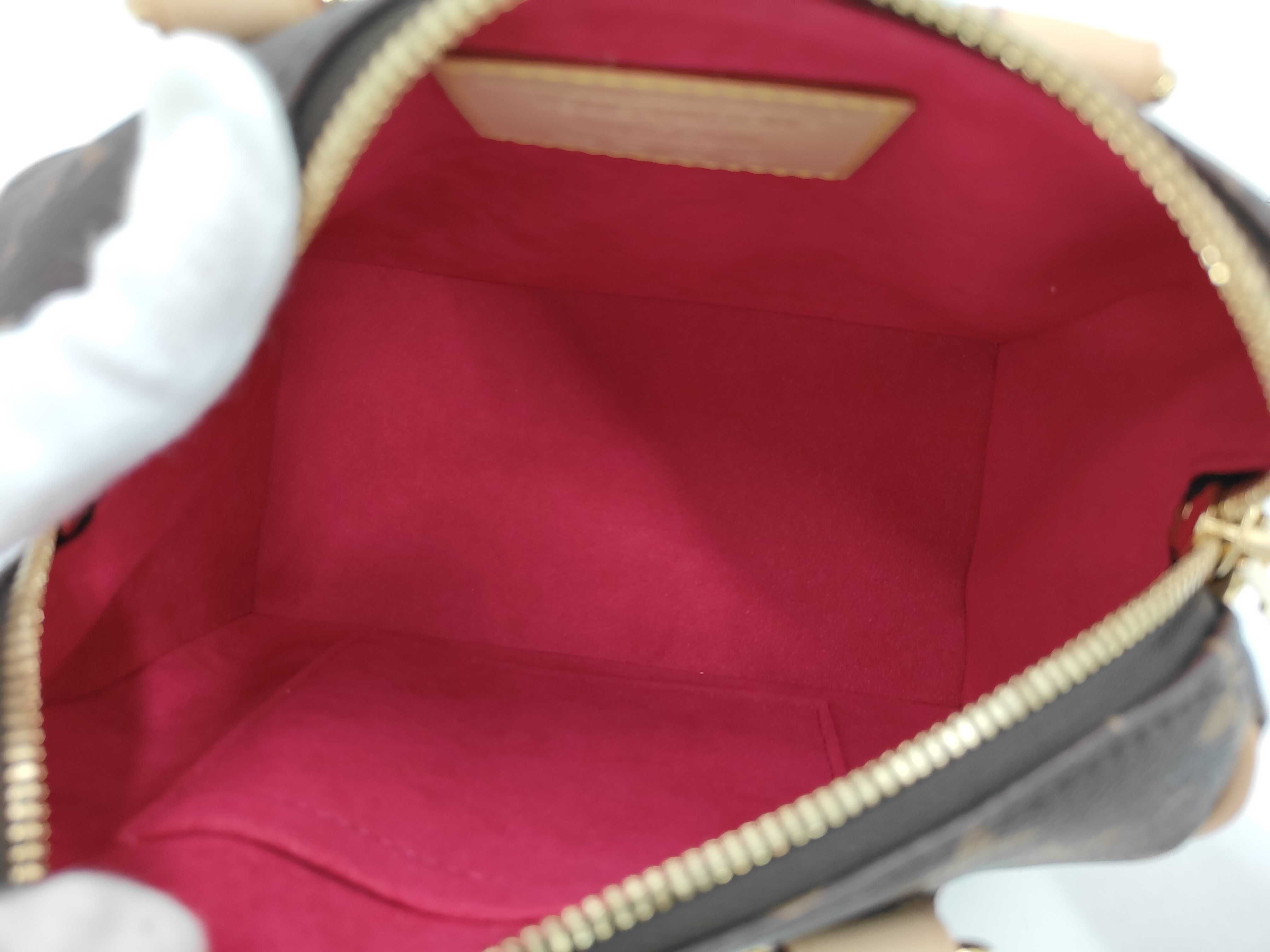Brown Monogram Takashi Murakami Speedy Bandoulière 20 M14175 Bag — view 8