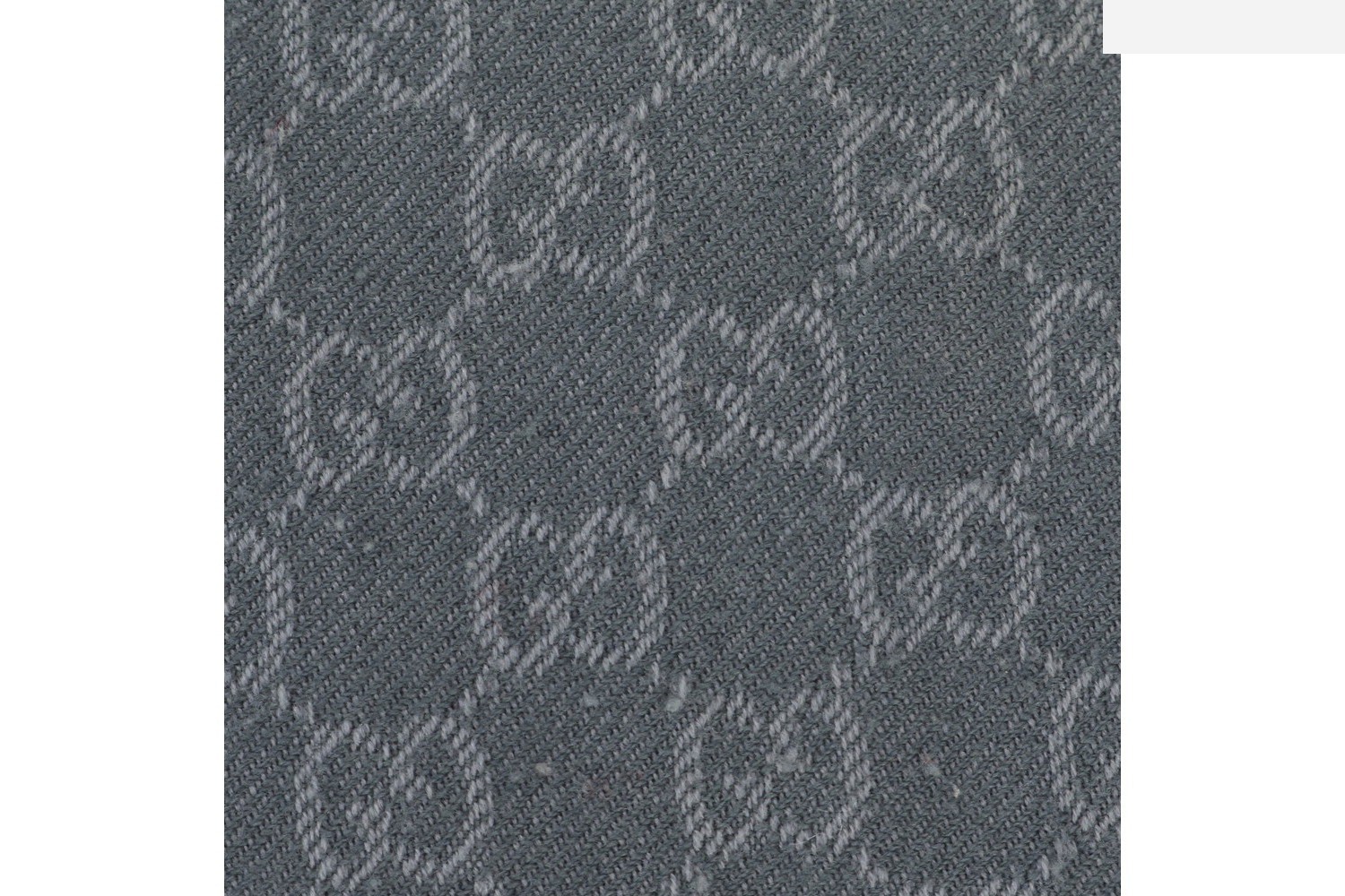 GG Canvas (Accessories) / Scarf — view 3