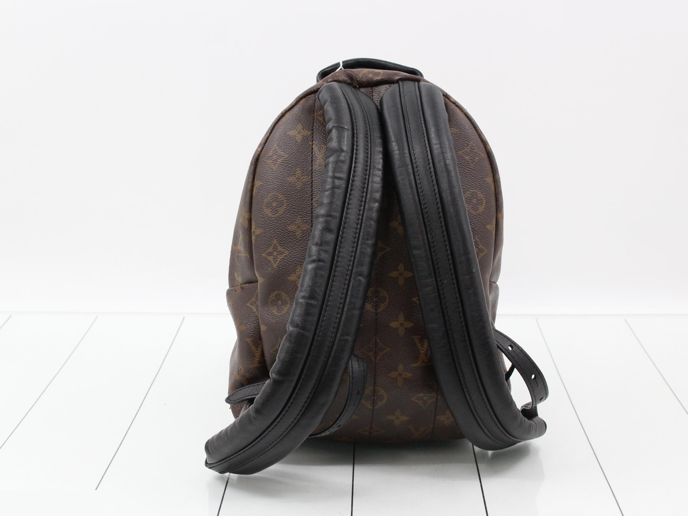 Monogram Palmspus Backpack PM — view 2