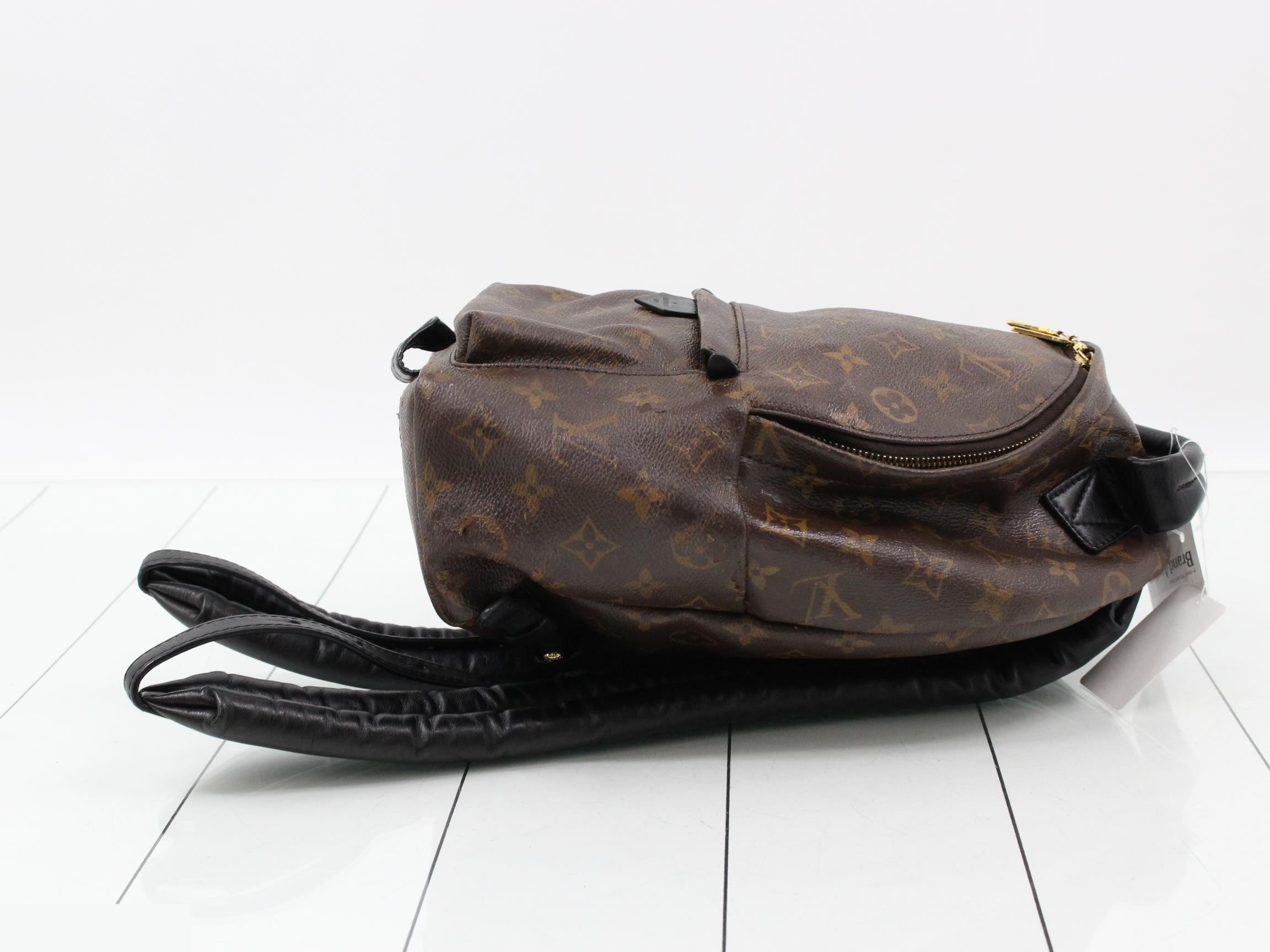 Monogram Palmspus Backpack PM — view 3