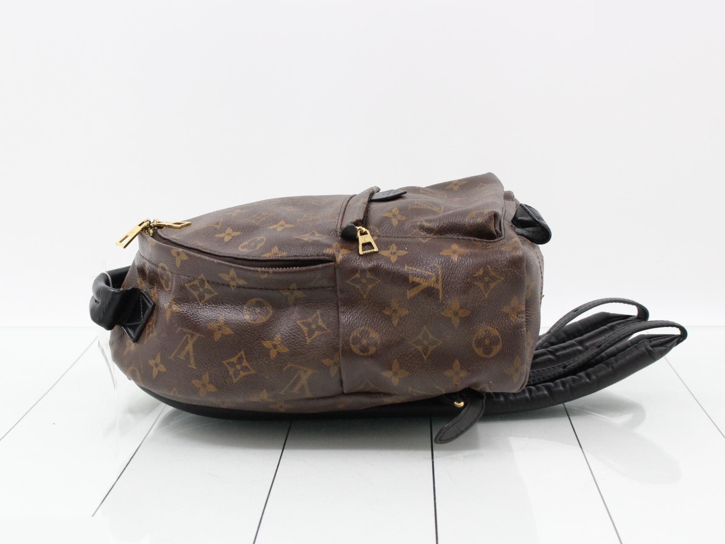 Monogram Palmspus Backpack PM — view 4