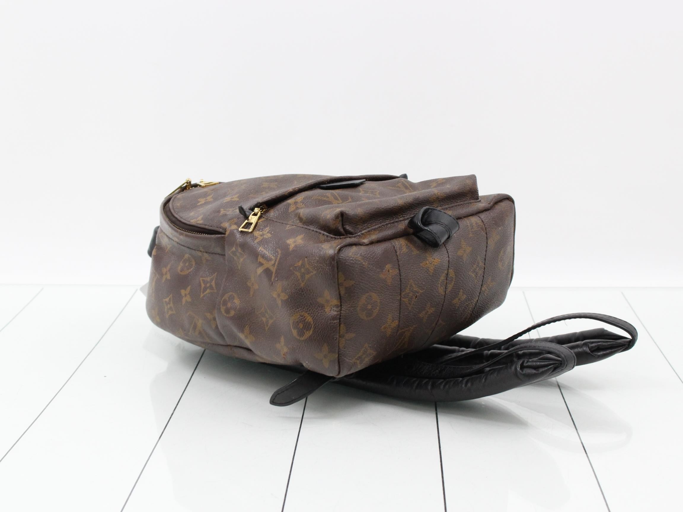 Monogram Palmspus Backpack PM — view 5