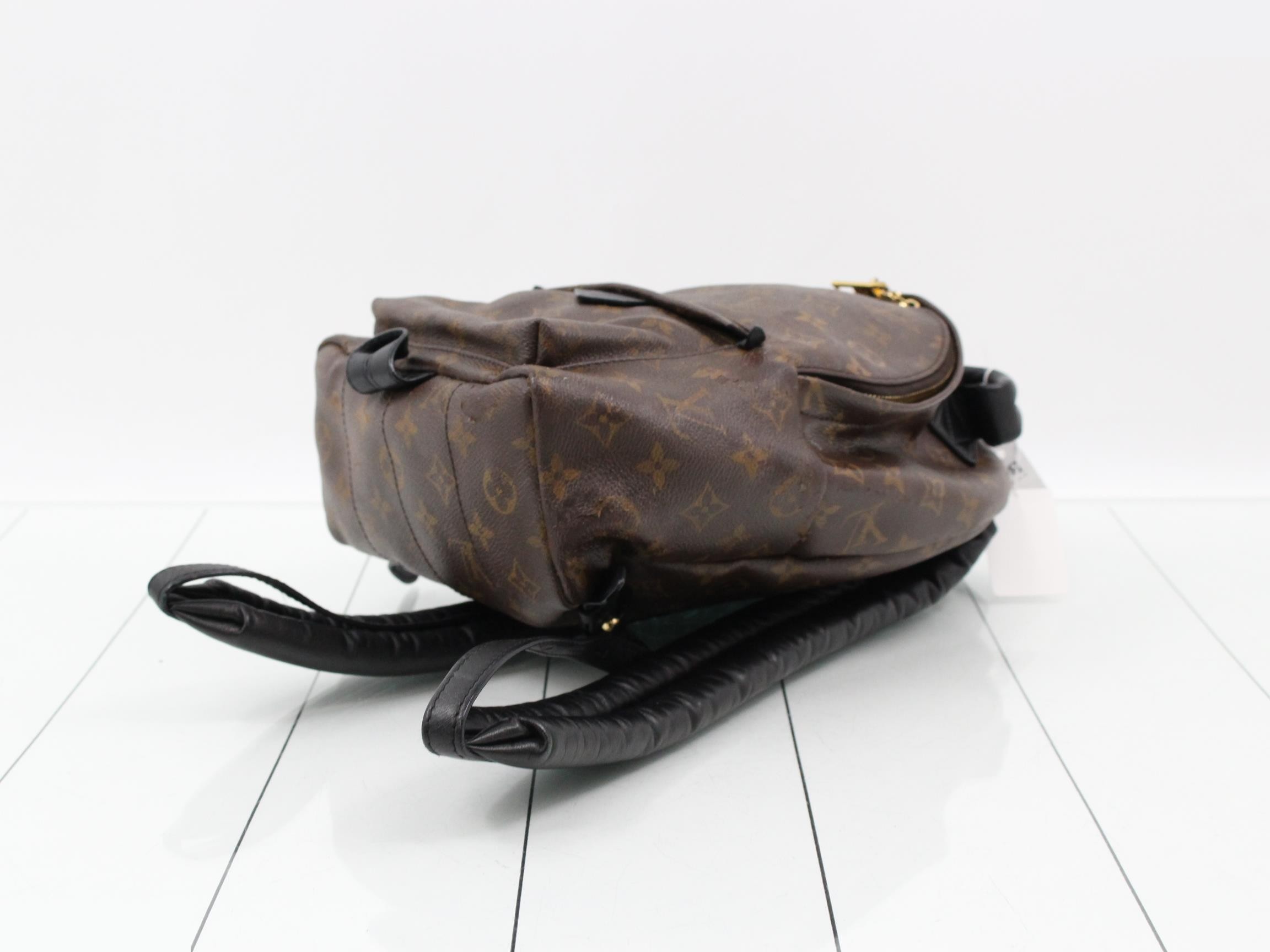 Monogram Palmspus Backpack PM — view 6