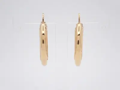 Monogram earrings