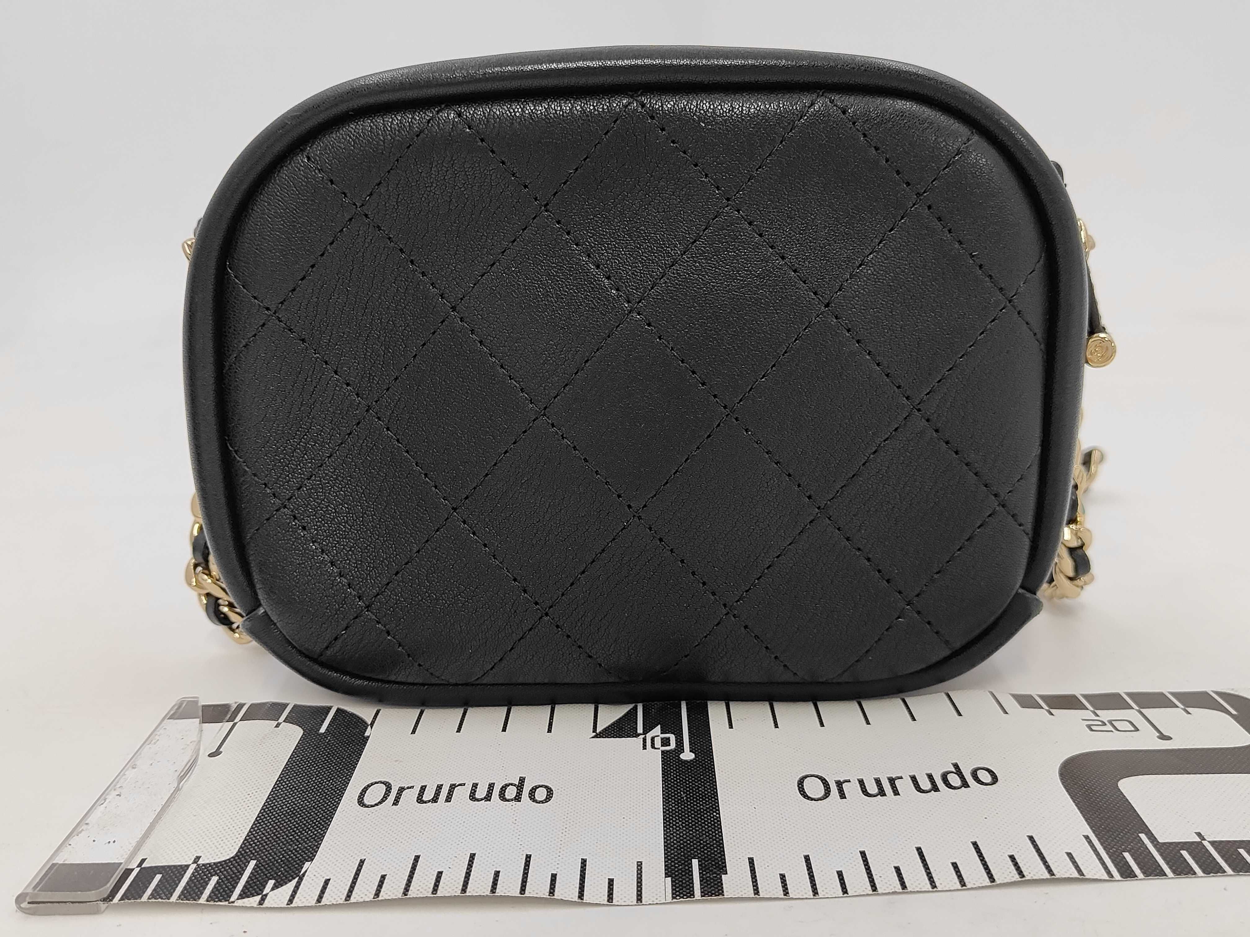 Calfskin Camera Chain Shoulder Bag — view 2