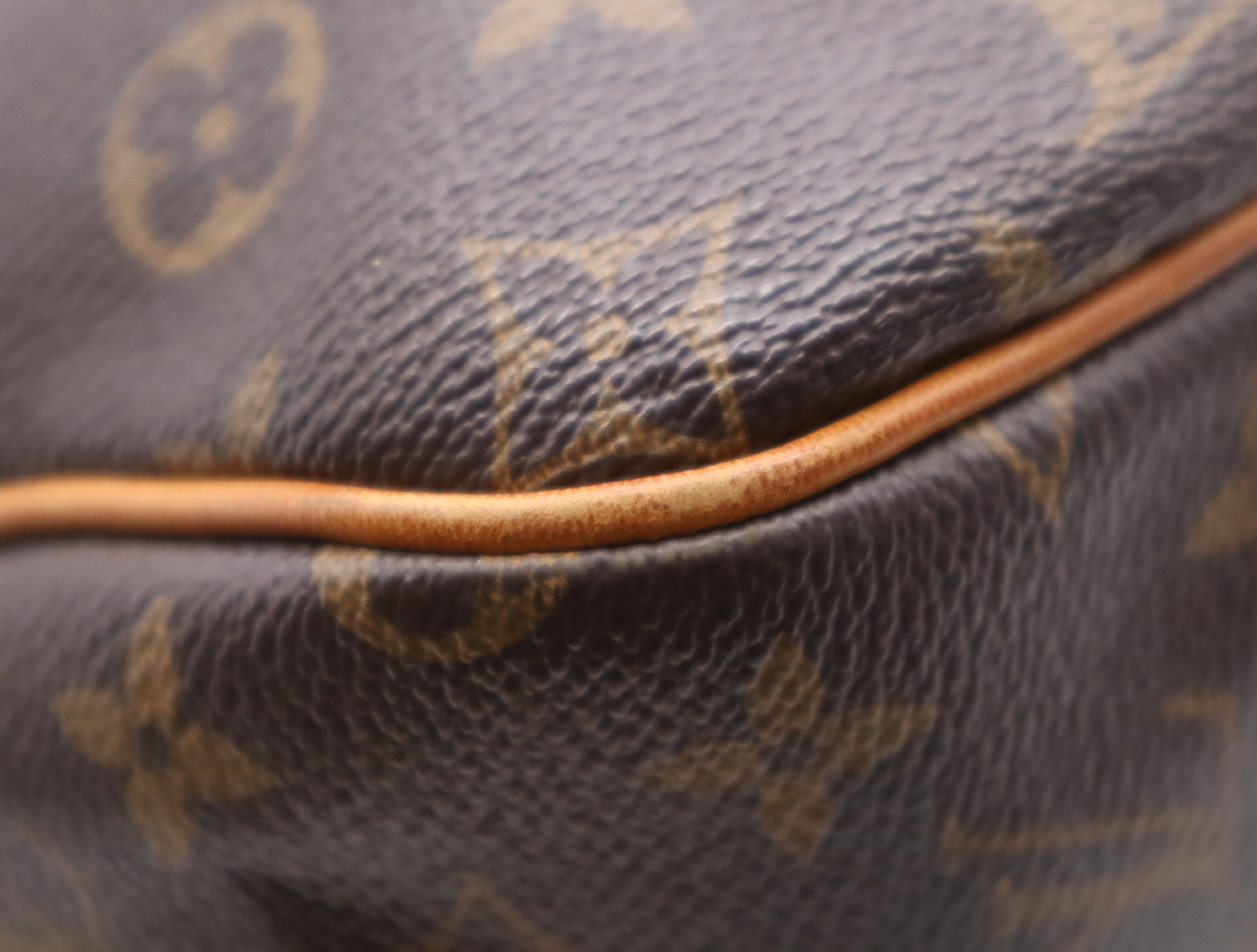 M40354 Monogram Delightful GM Shoulder Bag — view 6