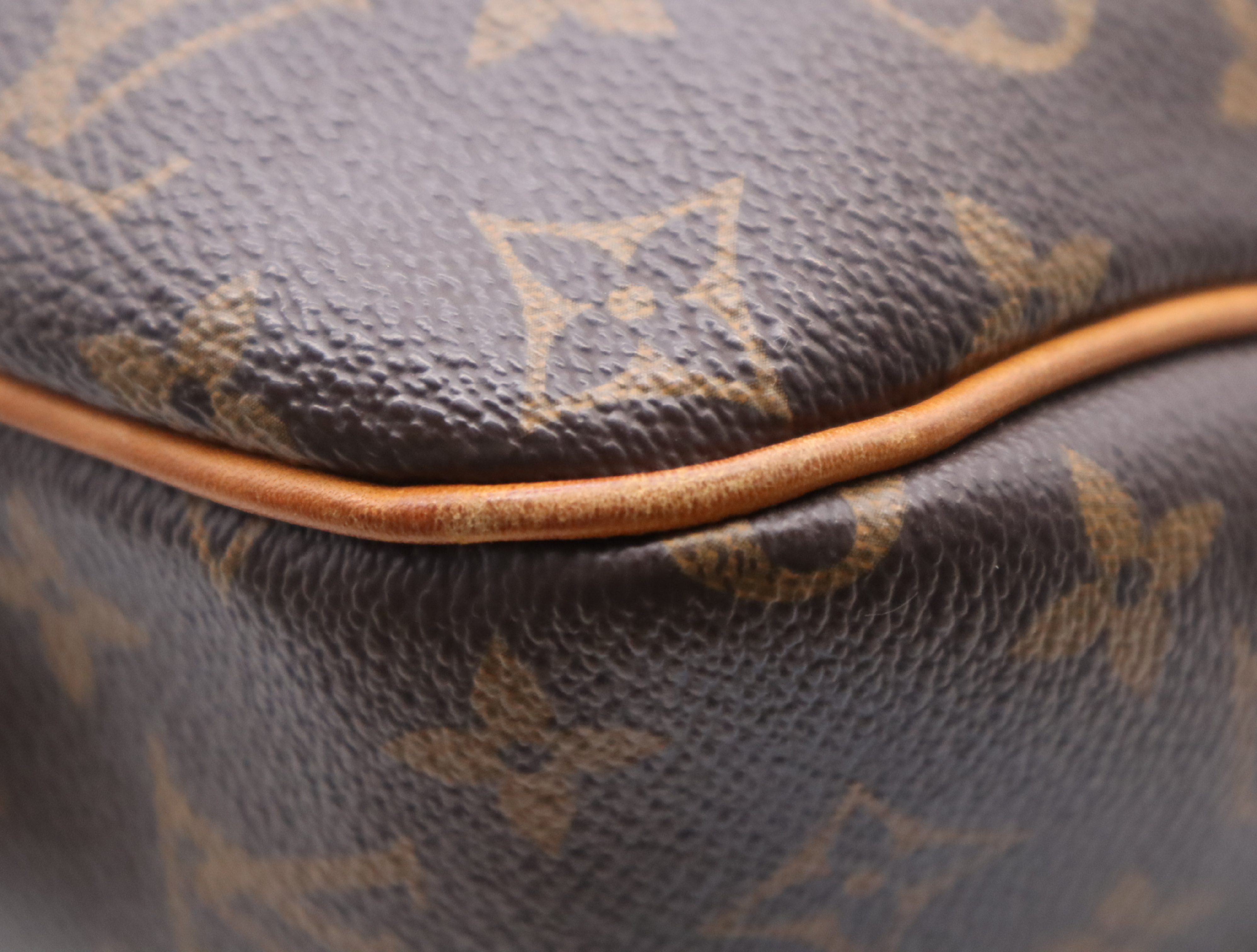 M40354 Monogram Delightful GM Shoulder Bag — view 7
