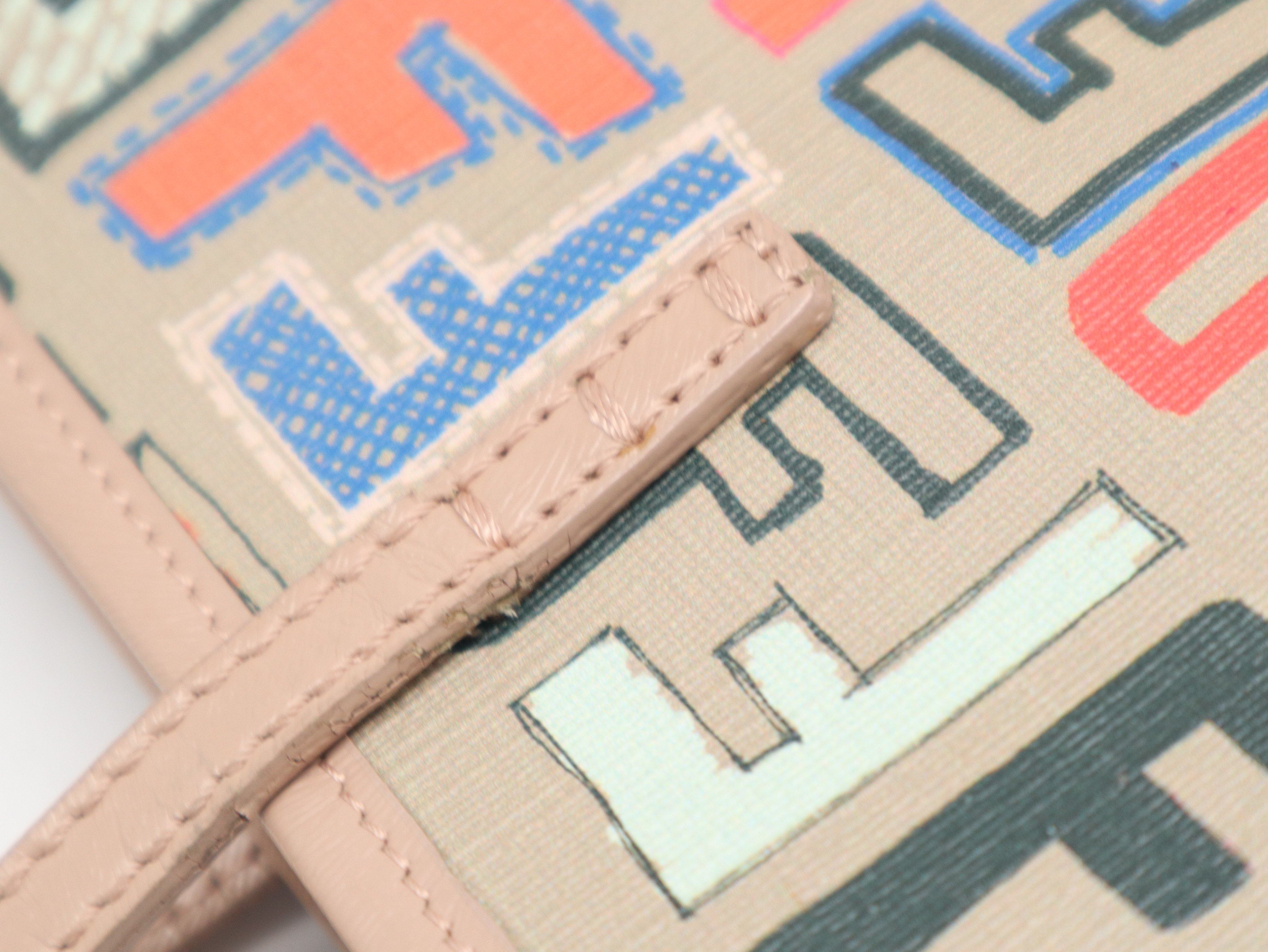 8BH211-CP7 Zucca Tote Bag, Leather, Multicolor, with Dust Bag. — view 8