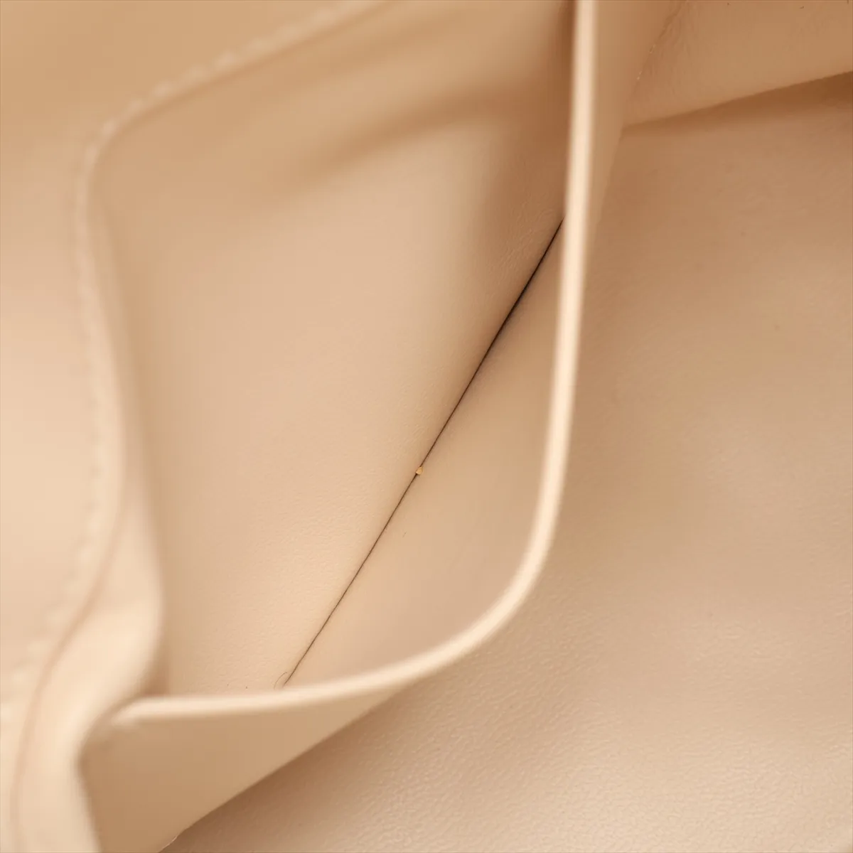Macro Cannage Toujours Leather 2-Way Handbag, Beige, Lucky Star — view 9
