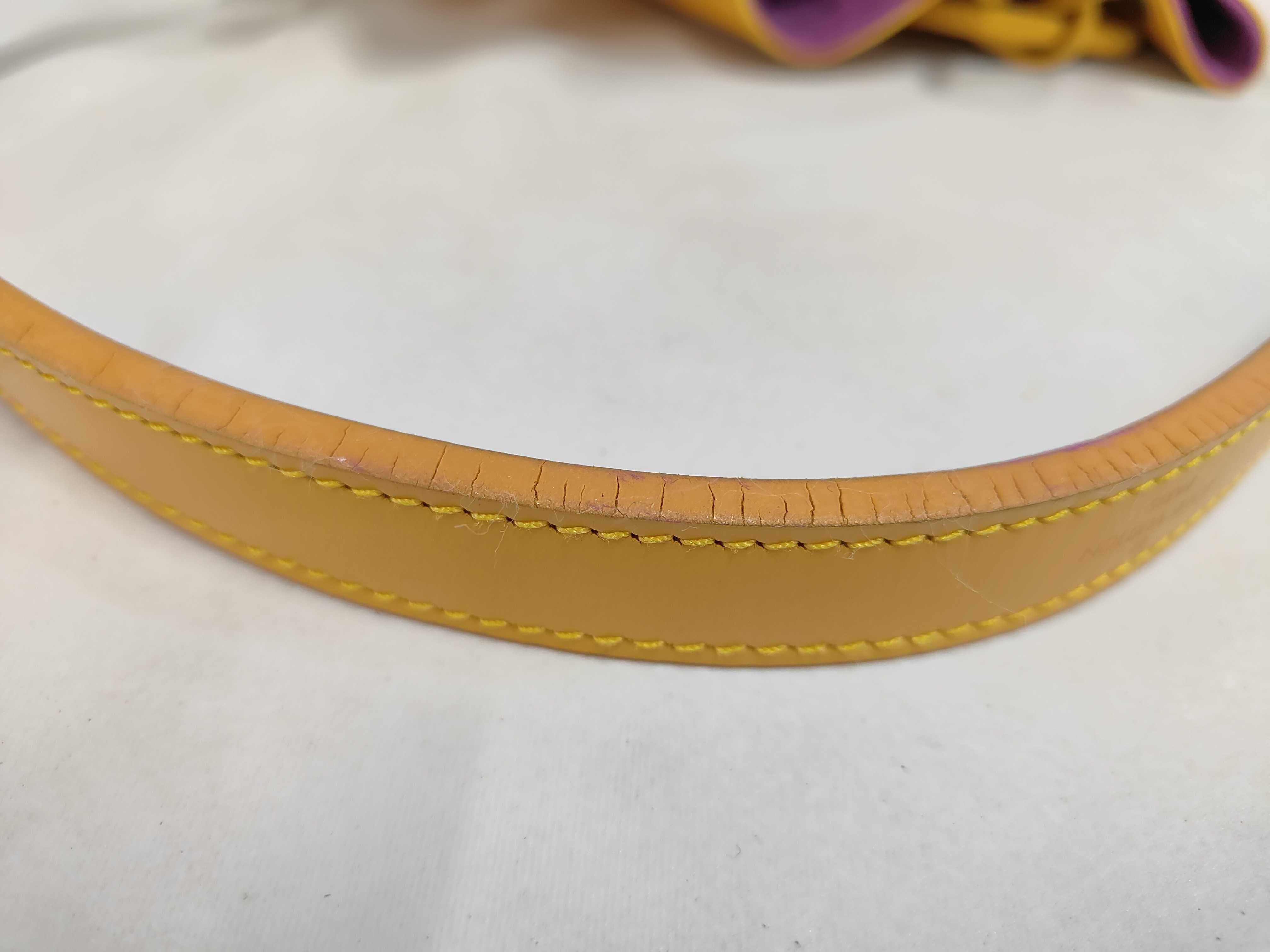 Epi Petit Noé Shoulder Bag — view 6