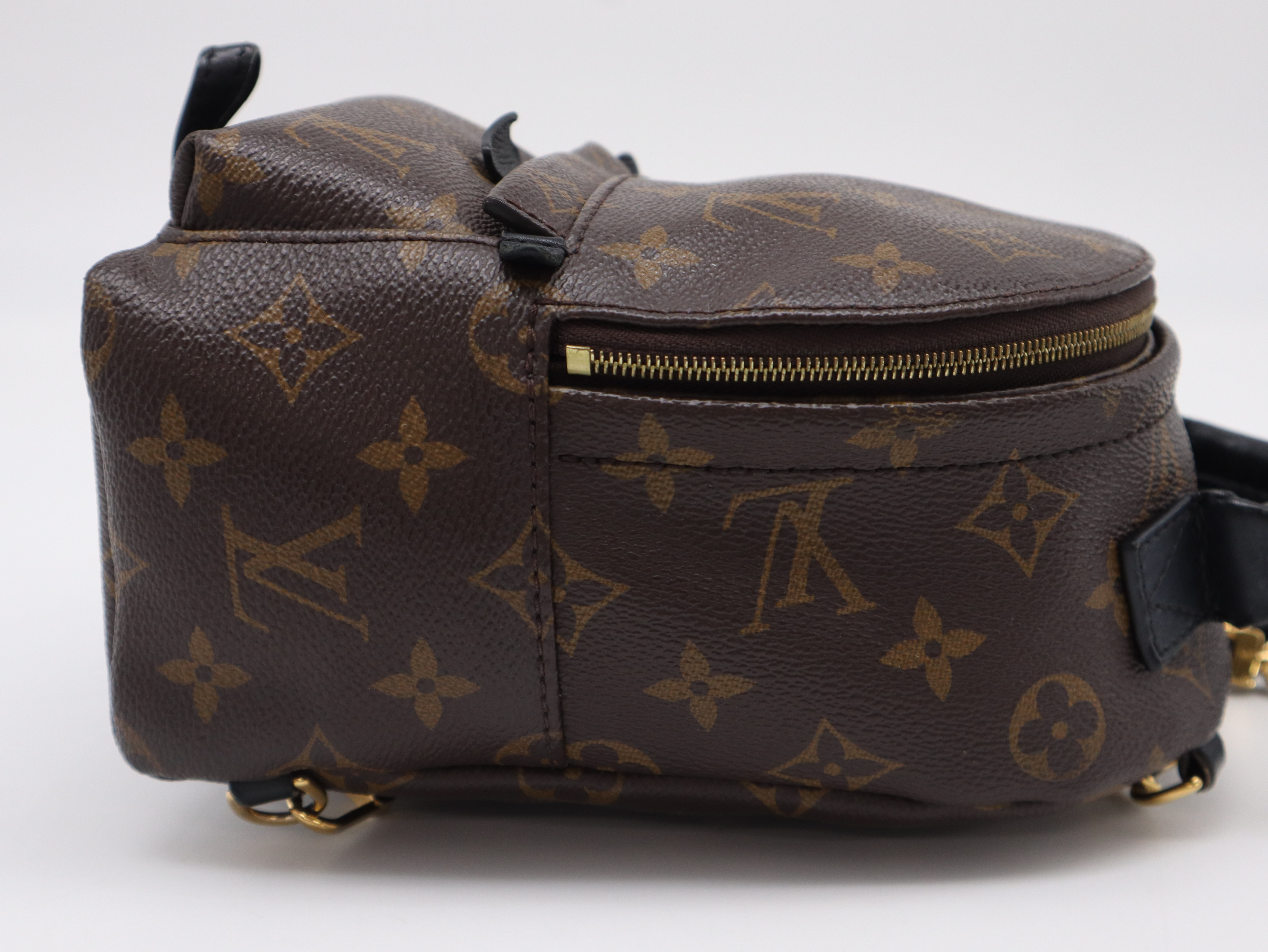M44873 Monogram Palm Springs MINI Backpack — view 4