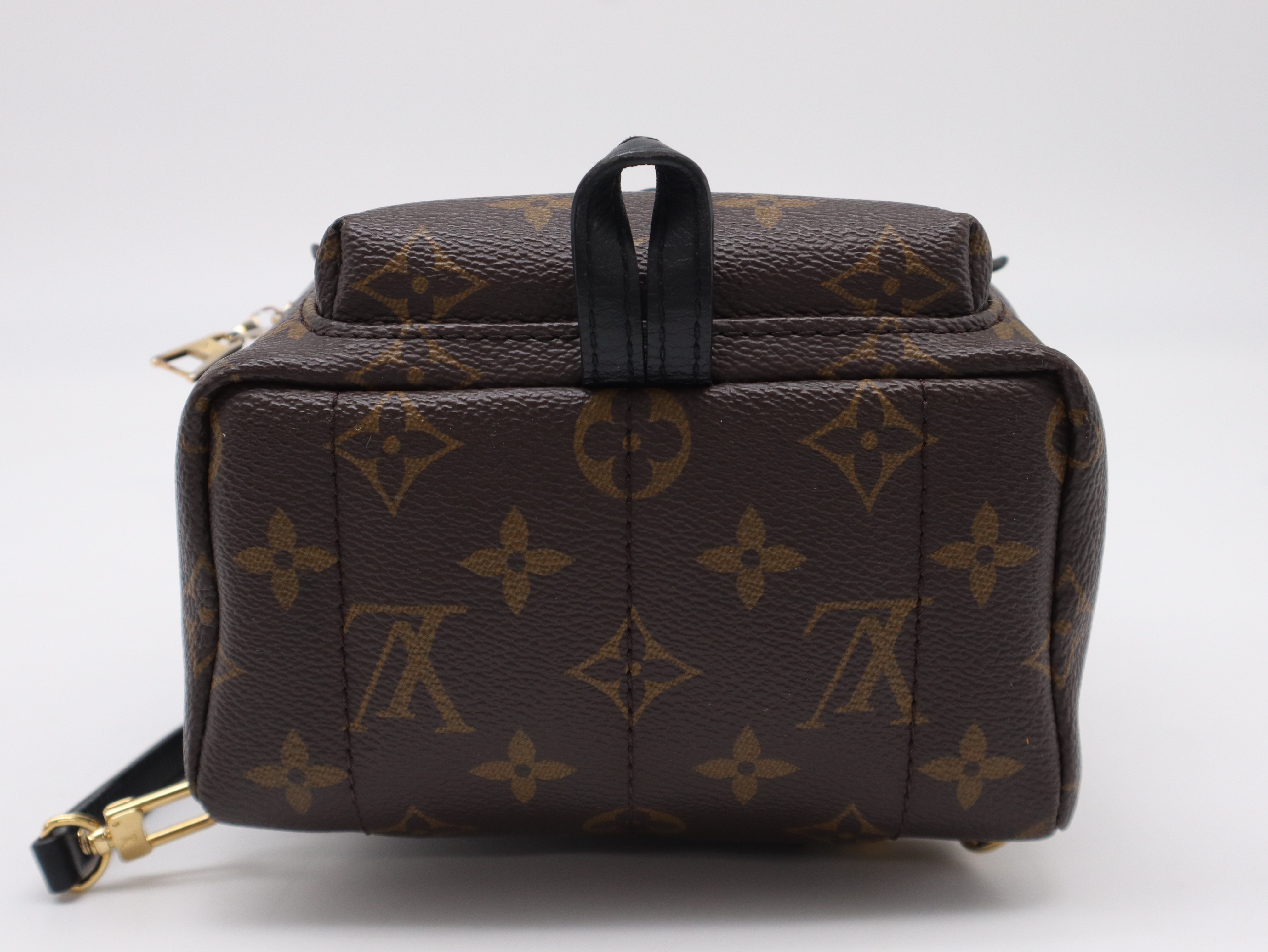 M44873 Monogram Palm Springs MINI Backpack — view 5
