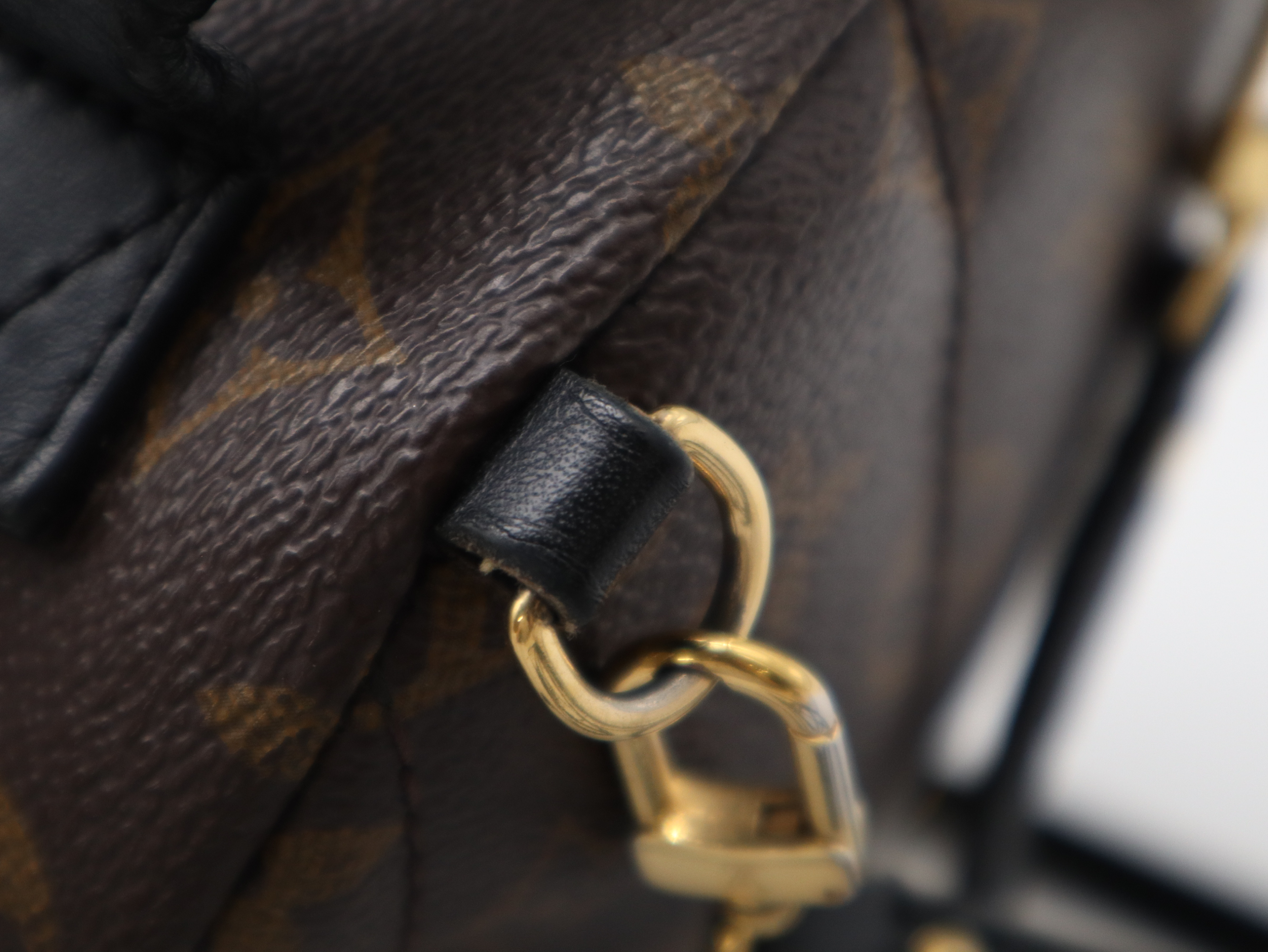 M44873 Monogram Palm Springs MINI Backpack — view 7