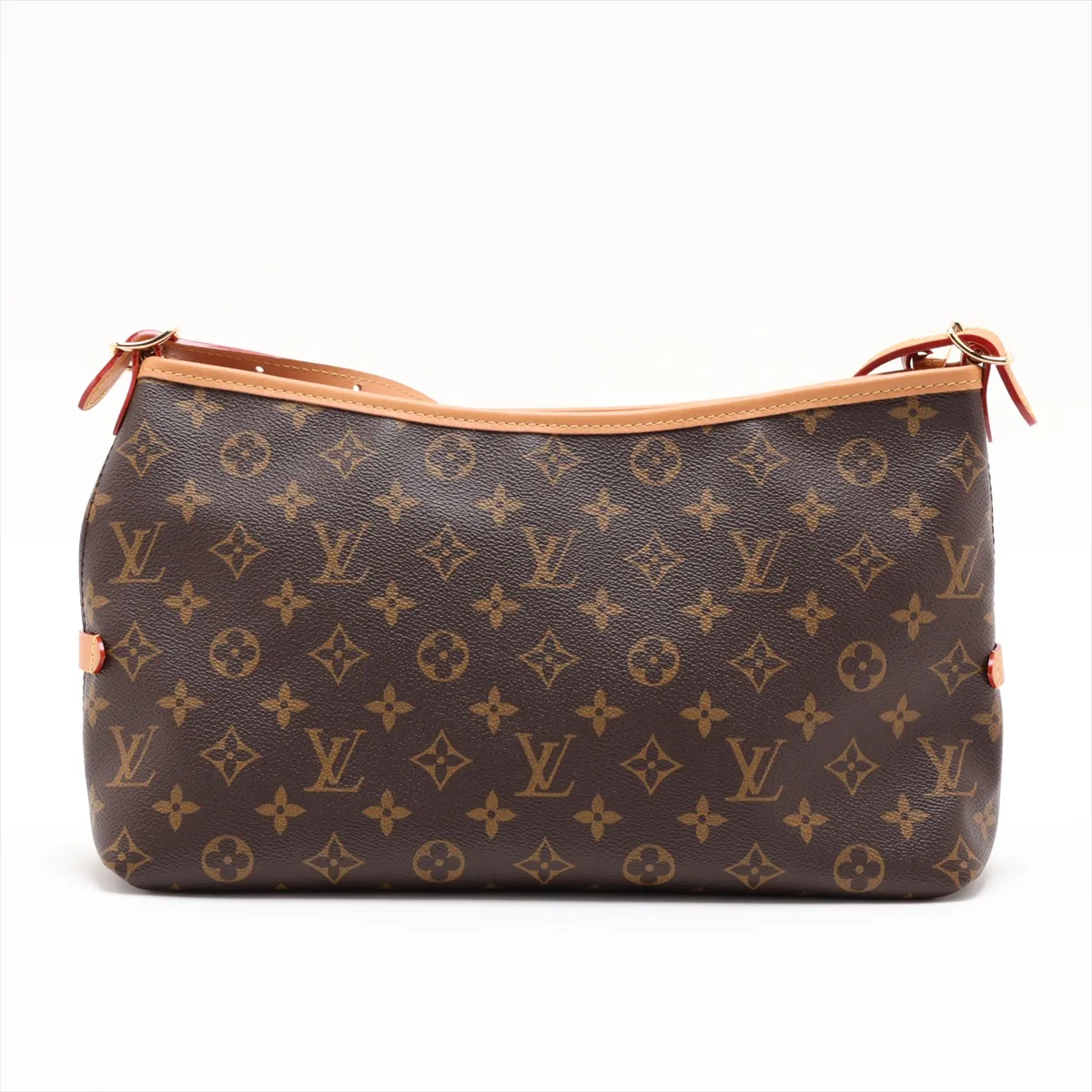 Monogram Carryall EW M28101 Brown (RFID detected) — view 2