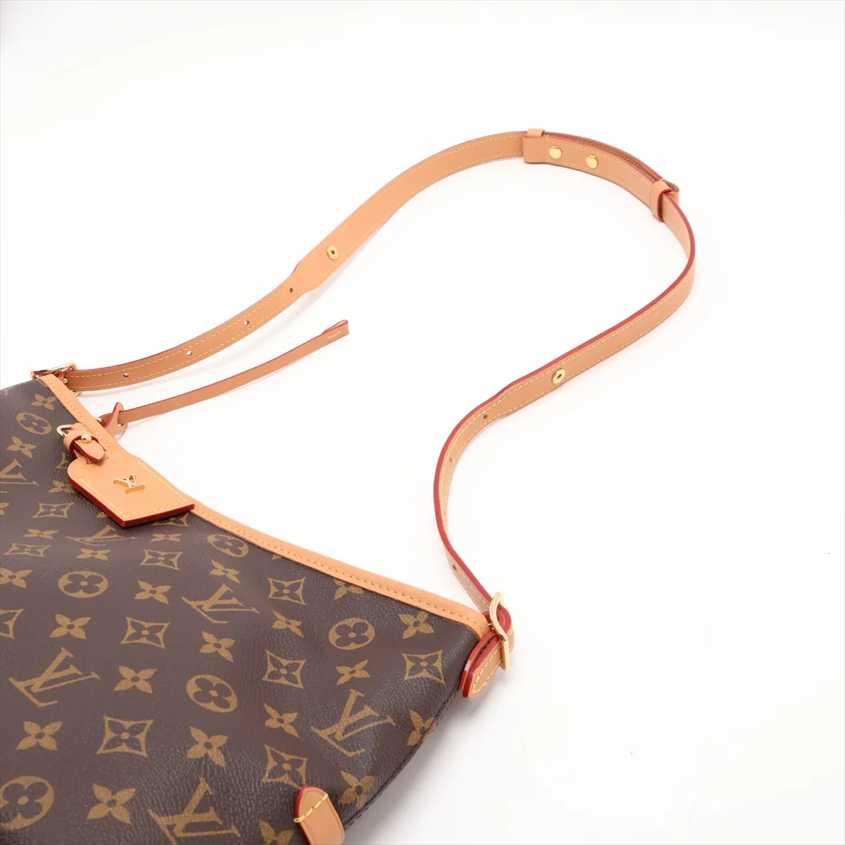 Monogram Carryall EW M28101 Brown (RFID detected) — view 5