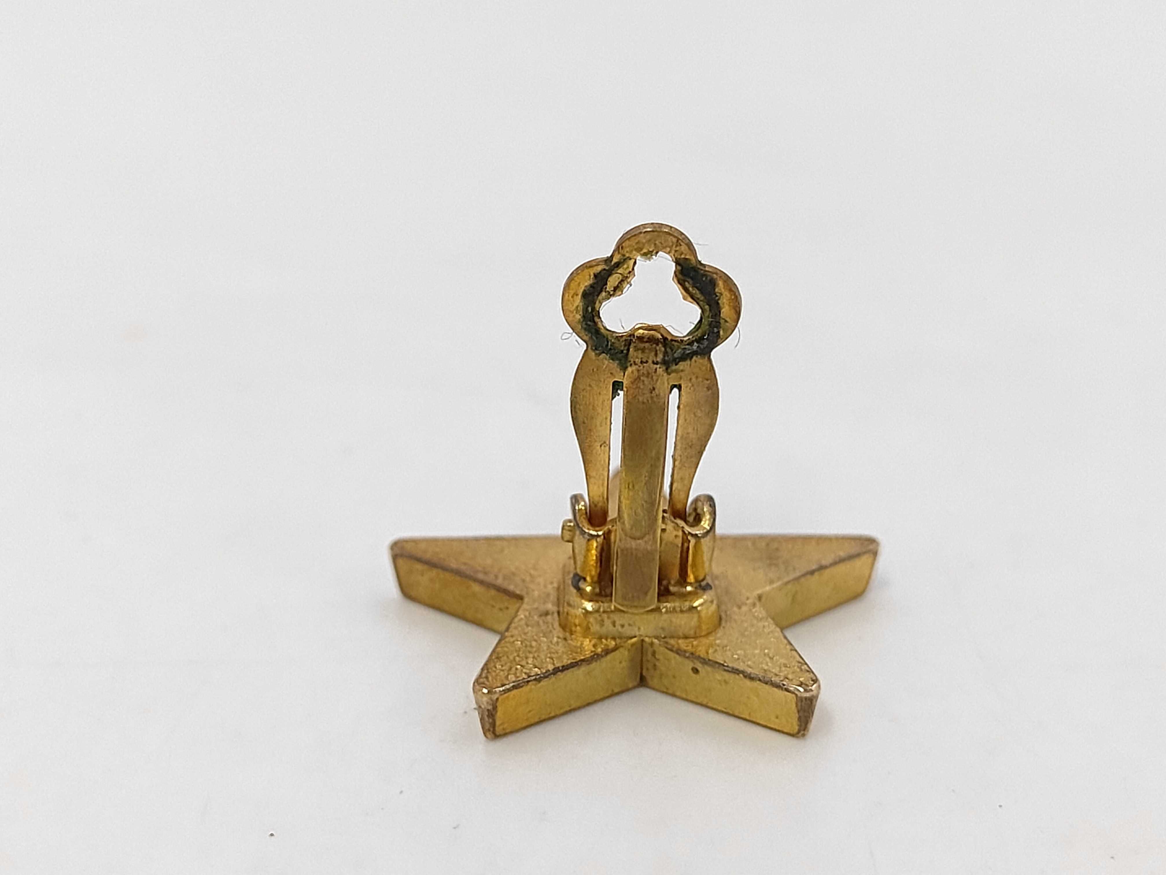 Star x1 Earrings — view 7