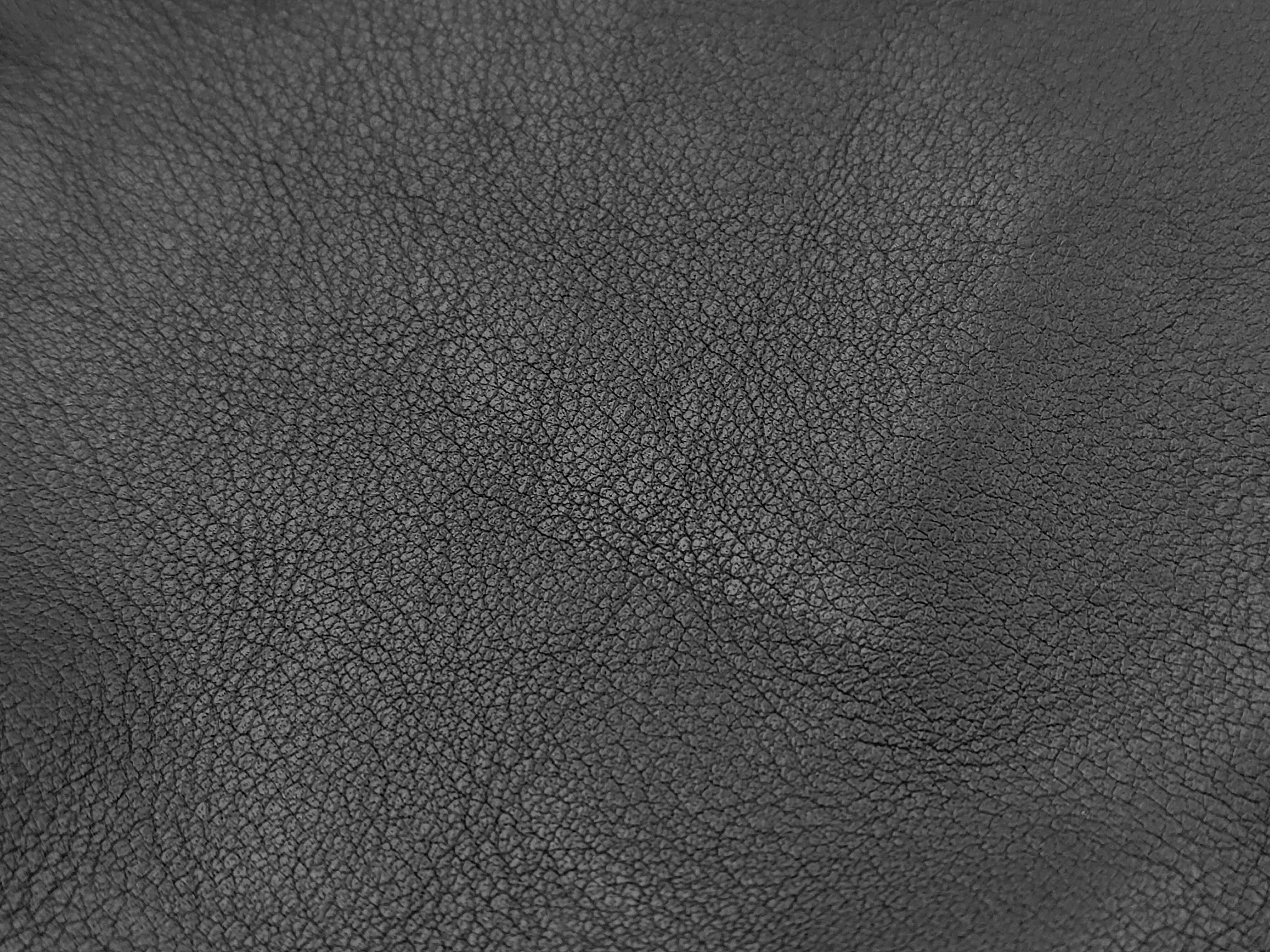 Camellia Tote Bag — view 12