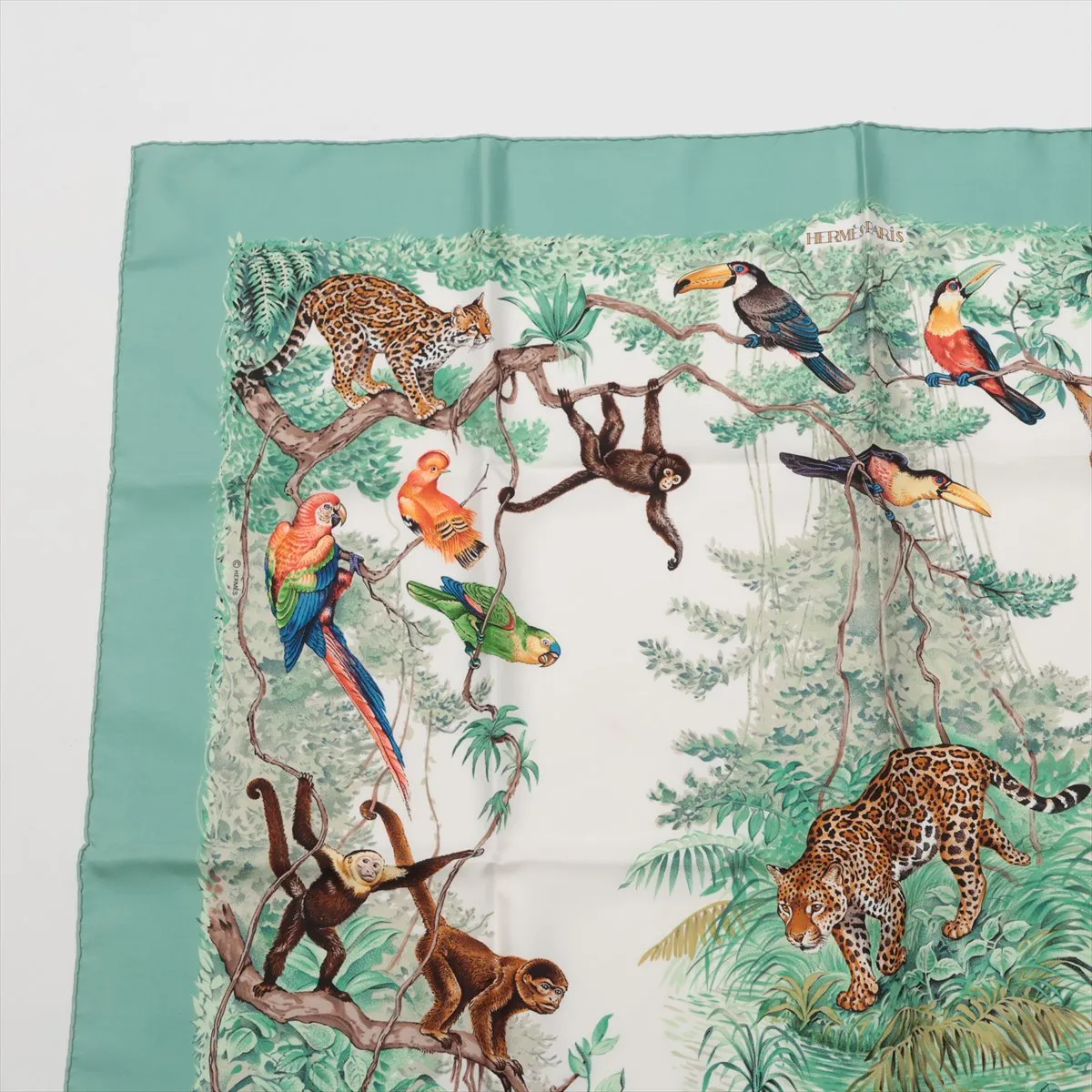 Carre 90 EQUATEUR Equator Scarf Silk Green — view 2