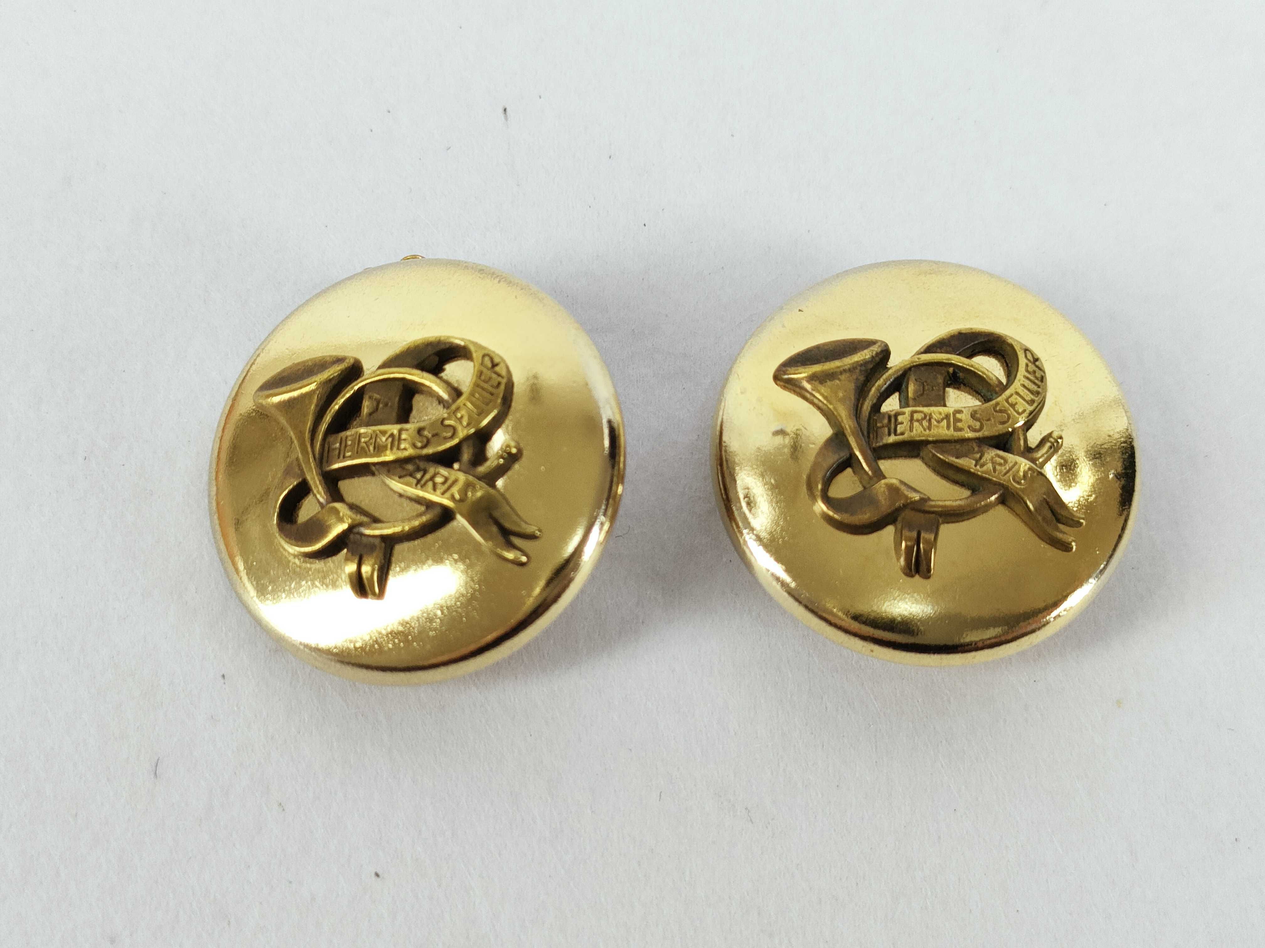 Horn Earrings