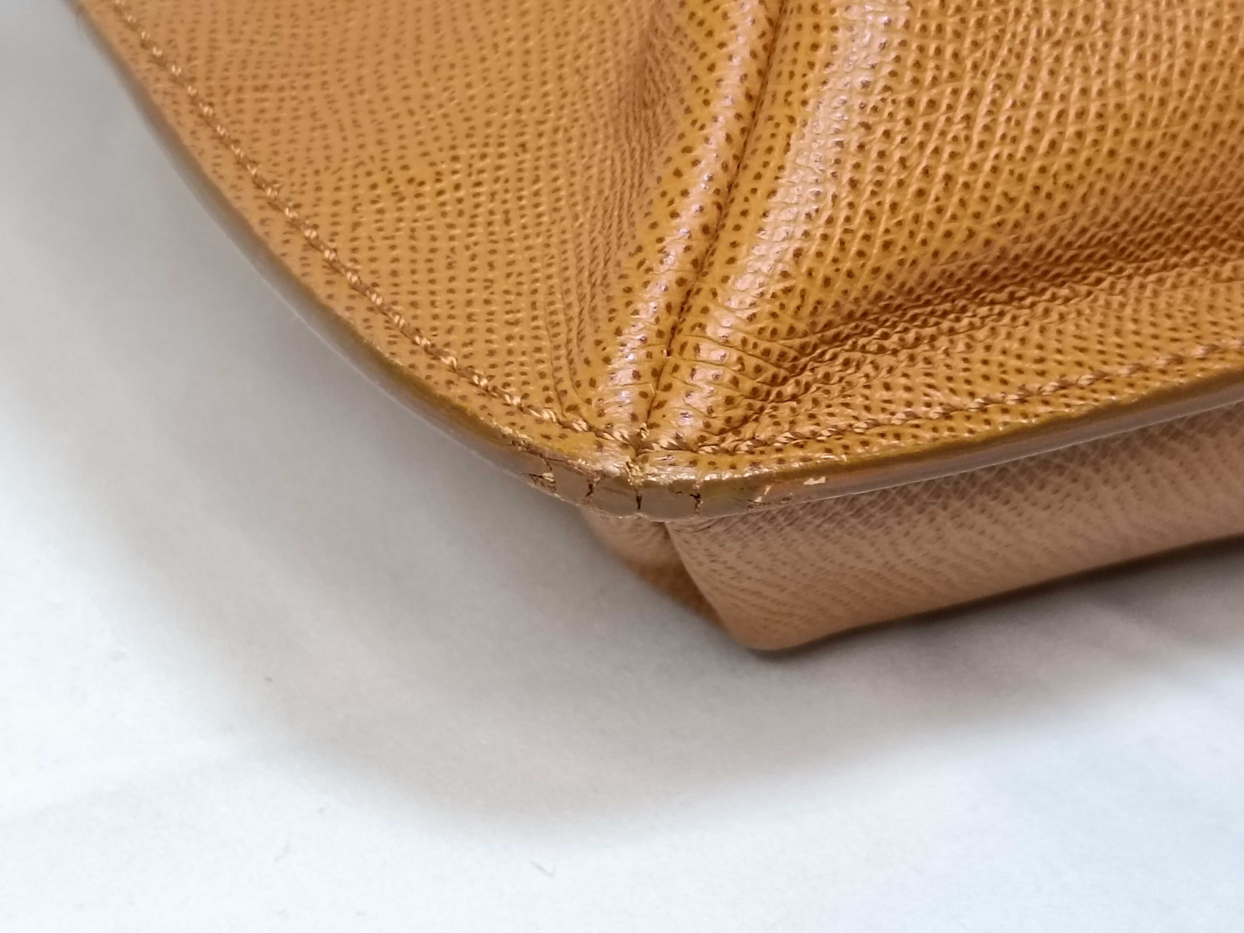 Caviar Skin Caviar Tote Bag with Embroidery (Series 5) — view 6