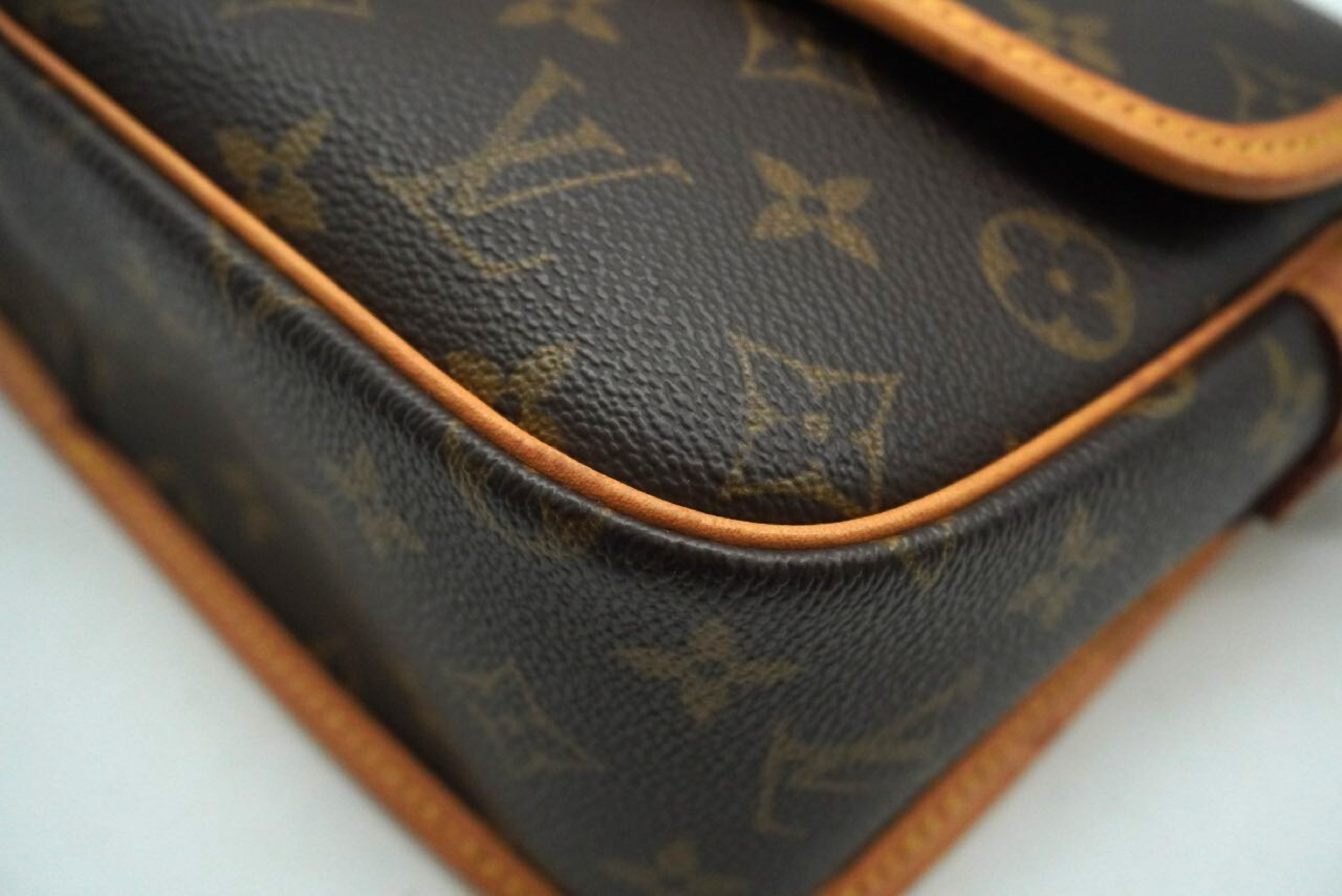 Monogram Sologne M42250 Shoulder Bag — view 9