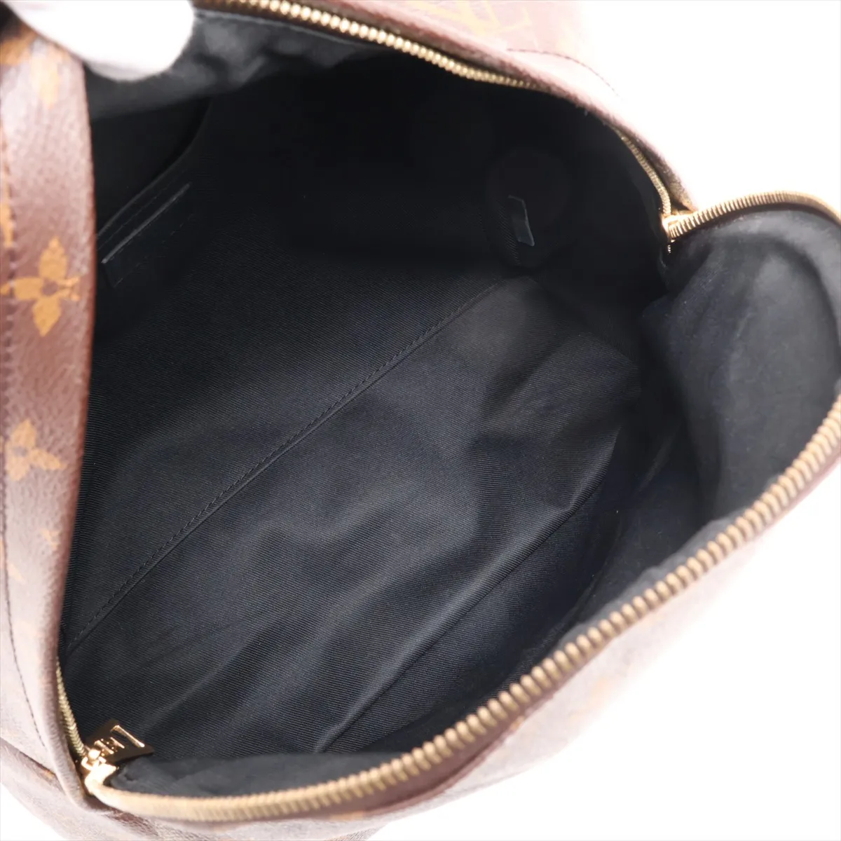 Monogram Palm Springs Backpack MM M41561 FL4107 Brown — view 7