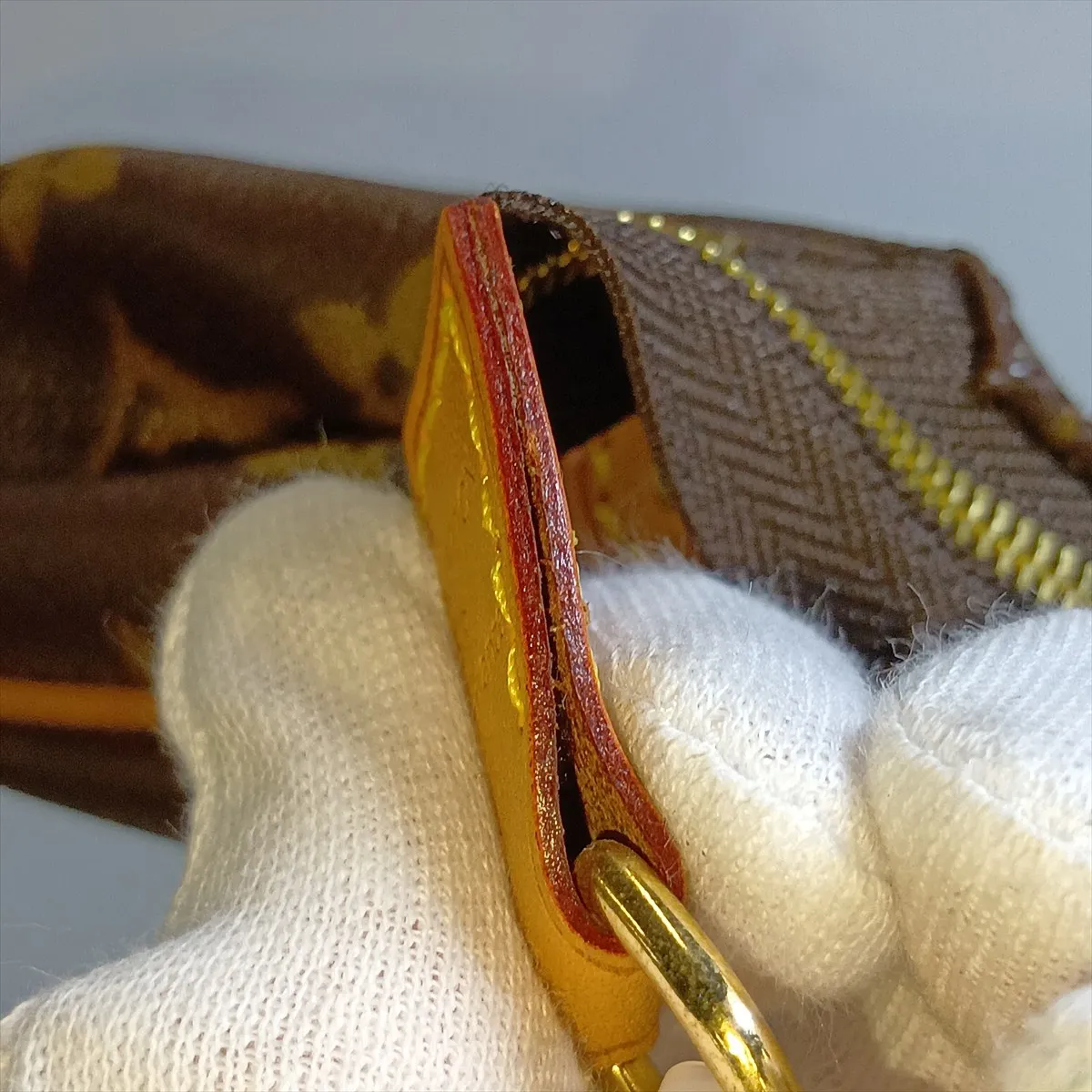 Monogram Eva M95567 AA0192 Brown — view 9
