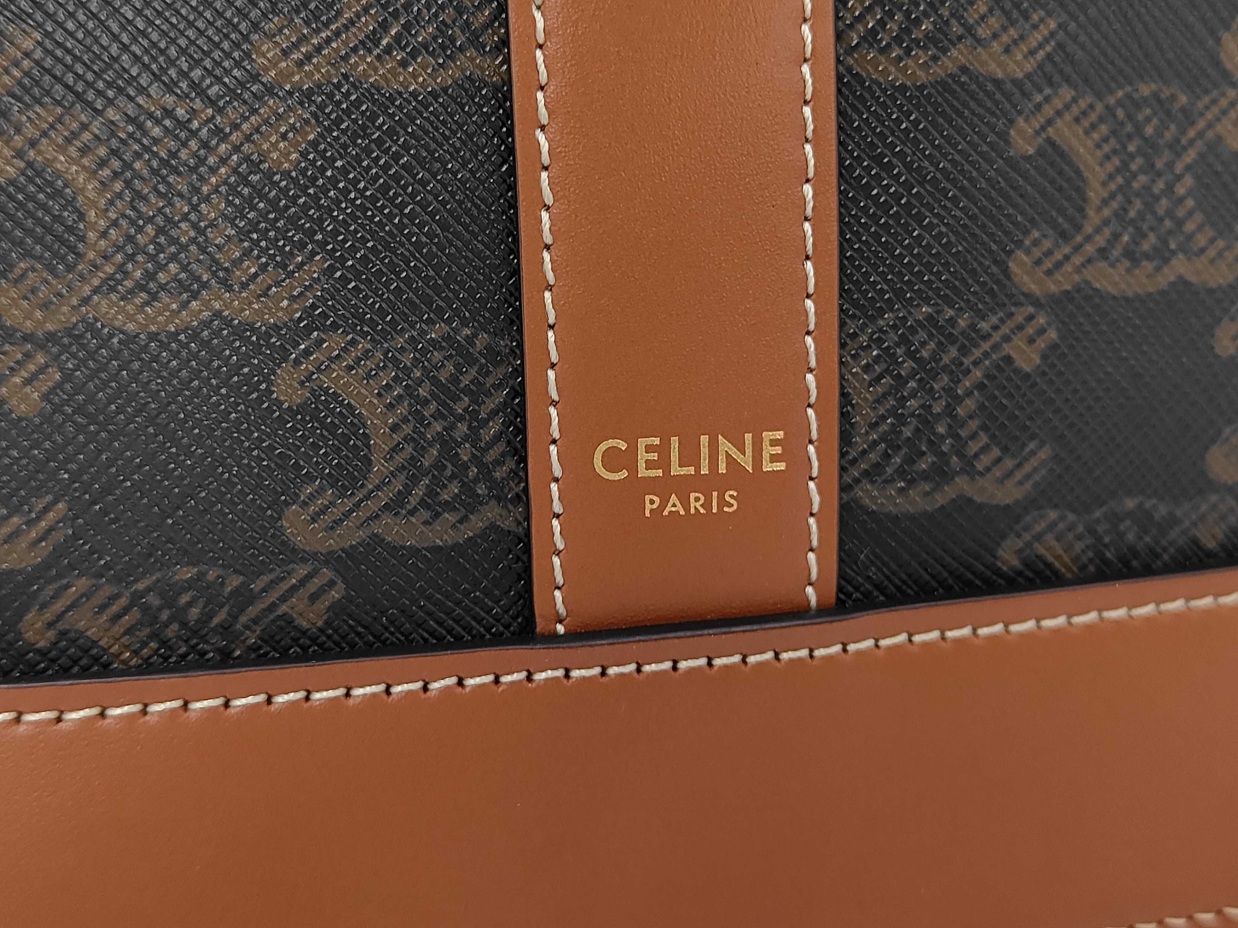 Triomphe PVC x Leather Bucket Shoulder Bag — view 10