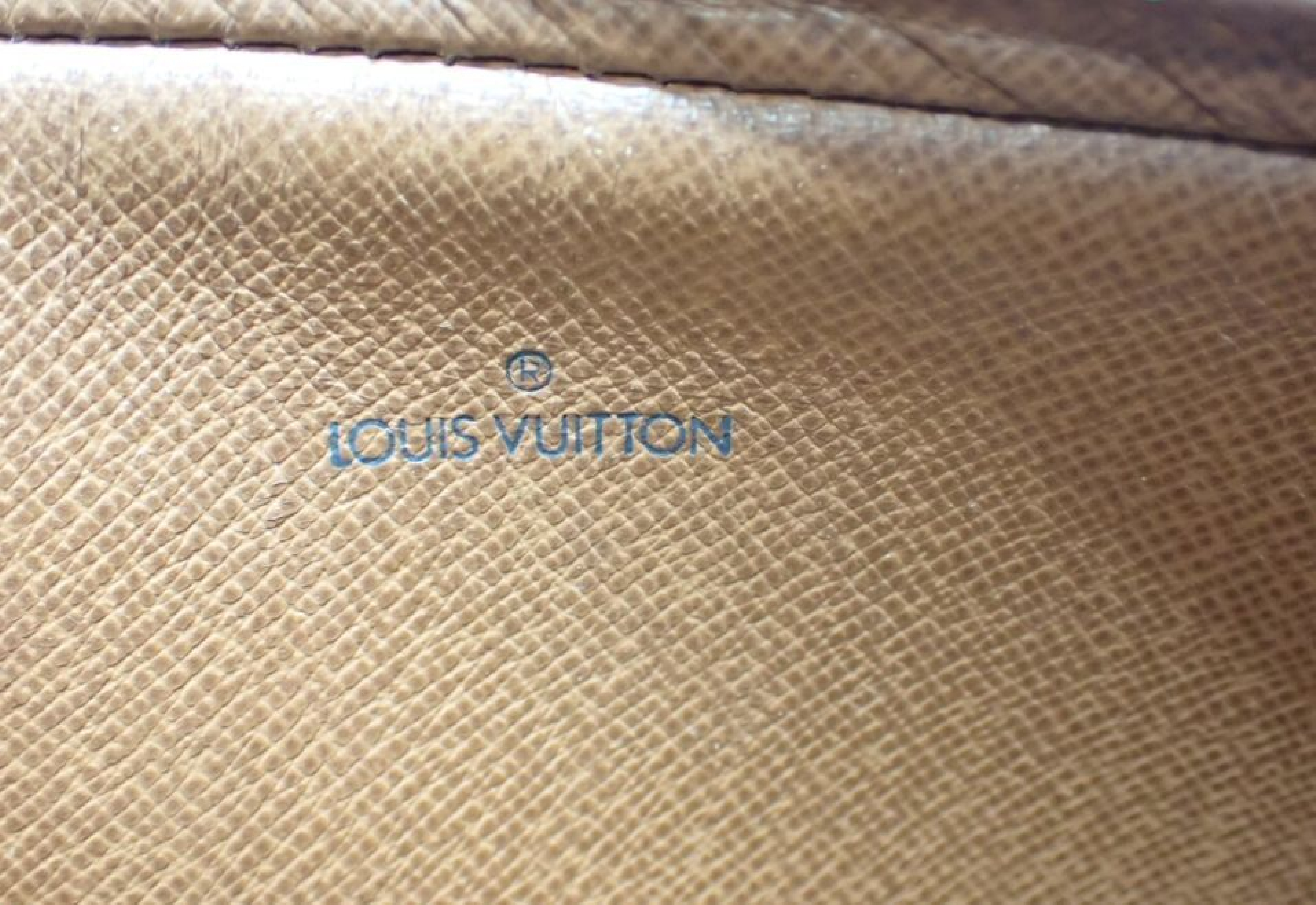 Monogram Marly Dragonne PM Second Bag Shoulder Bag — view 6