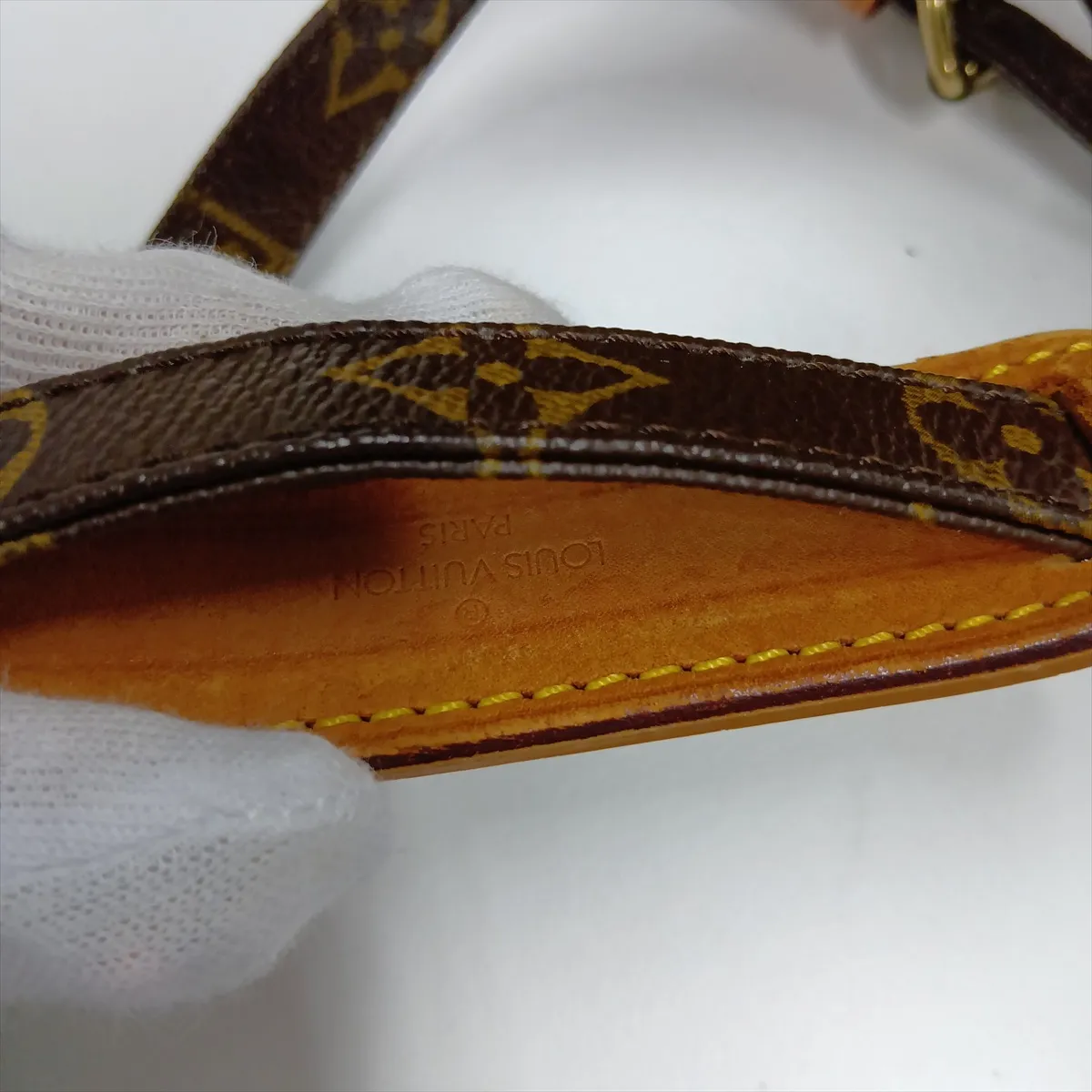 Monogram Amazon M45236 AR0022 Brown — view 12